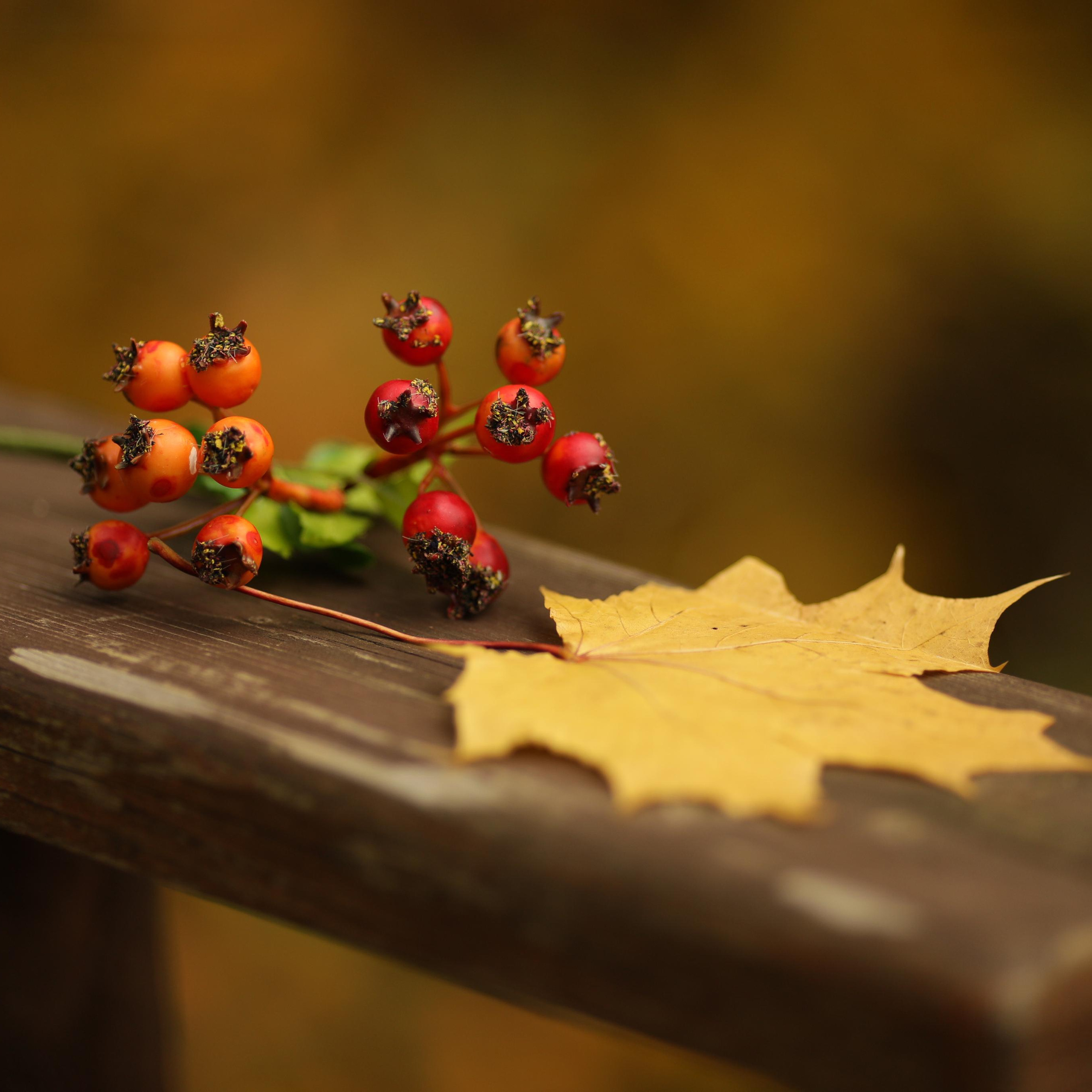 Отзывы. Путешествуем вместе