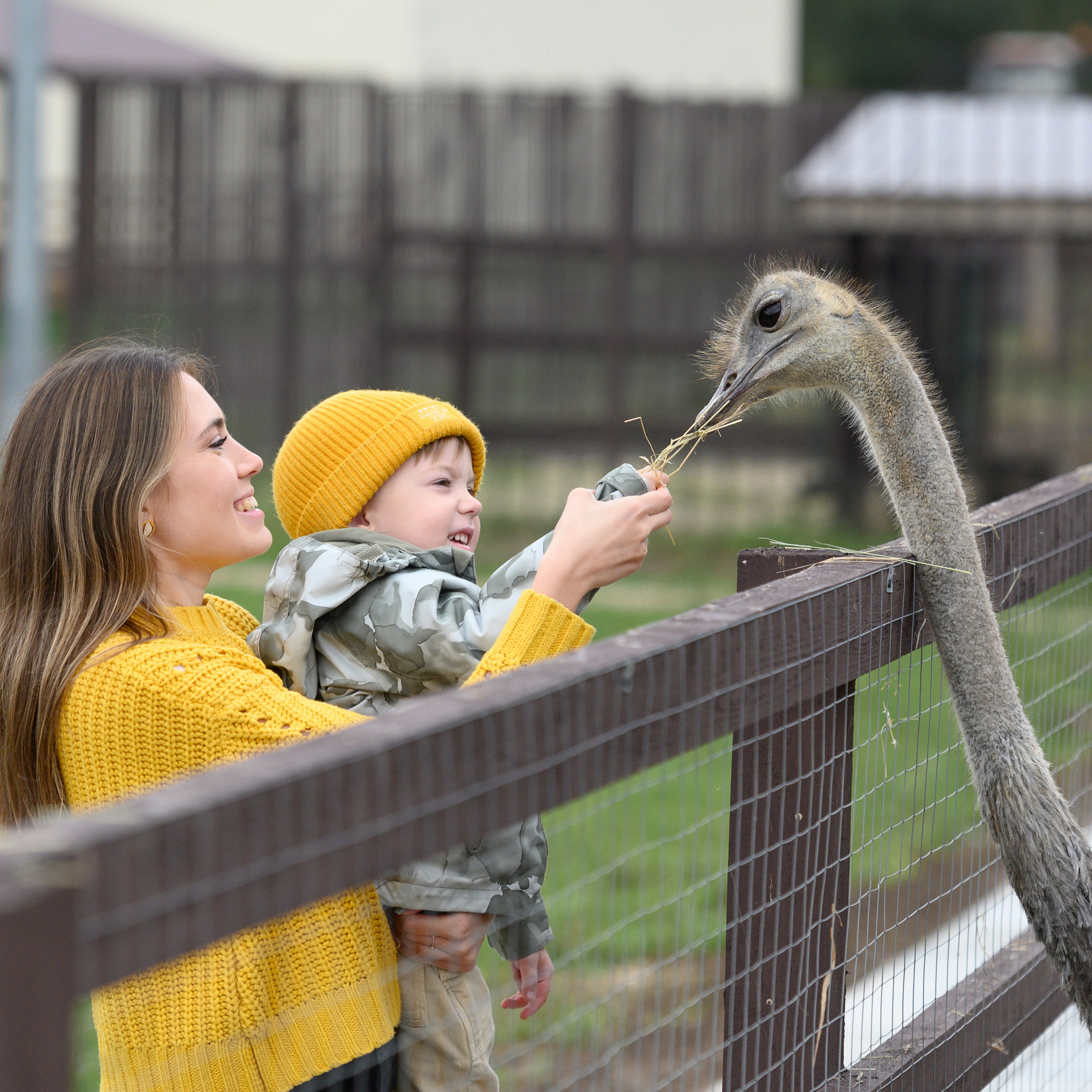 Привет, меня зовут Прохор. Сайт предметного и семейного фотографа