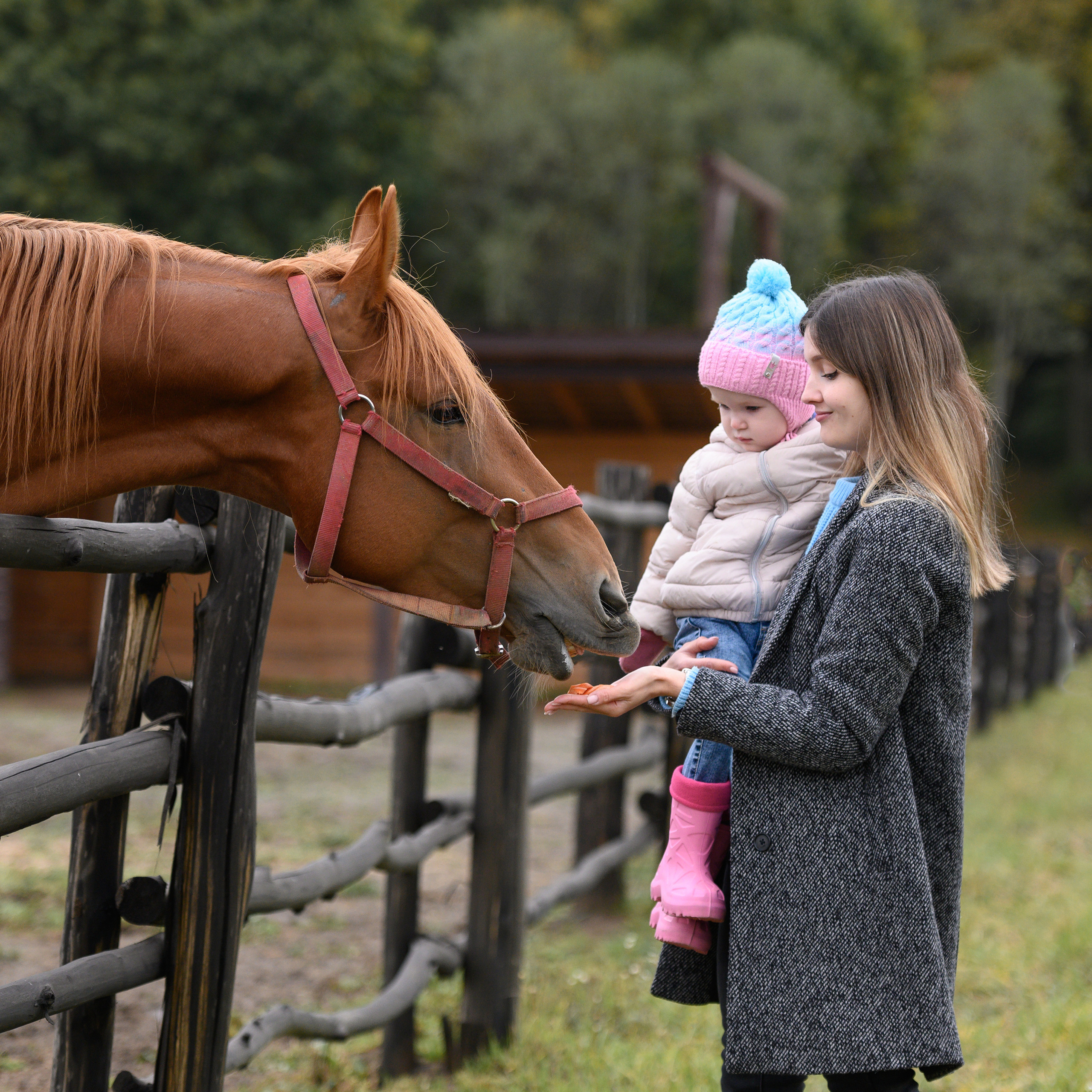 Привет, меня зовут Прохор. Сайт предметного и семейного фотографа