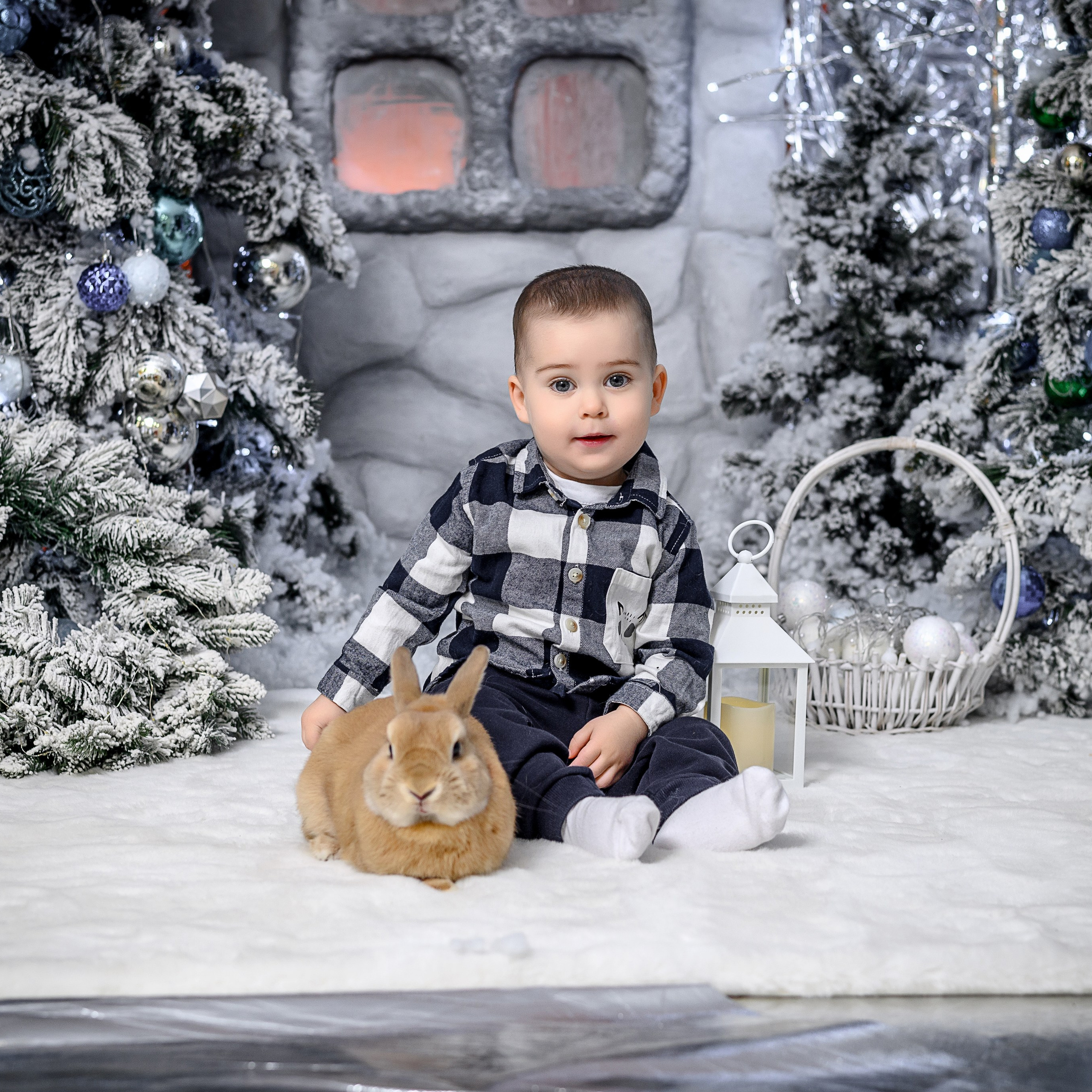 Новогодняя фотосессия. Фотограф в Калуге Марина Афанасьева