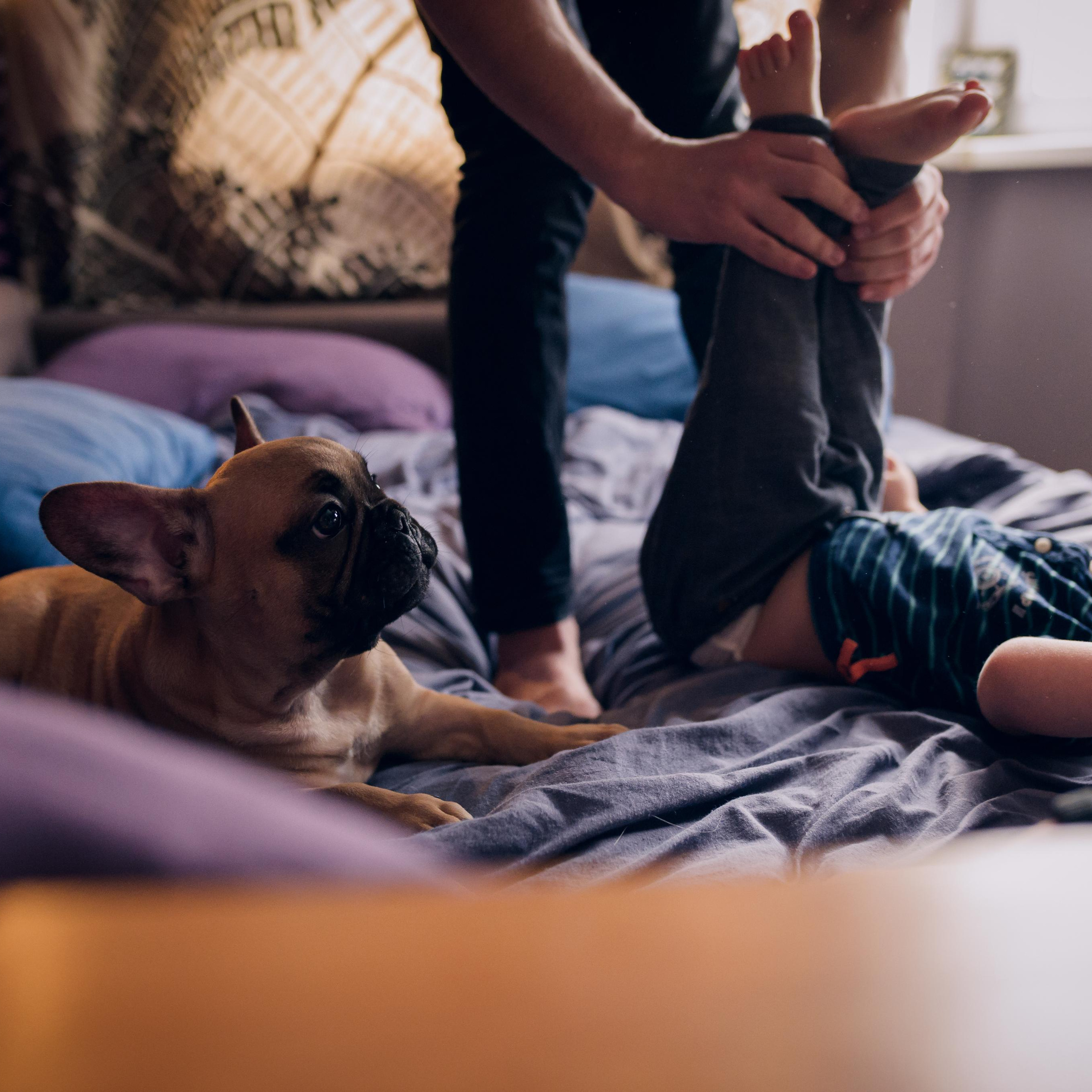 Домашняя фотосессия с характером