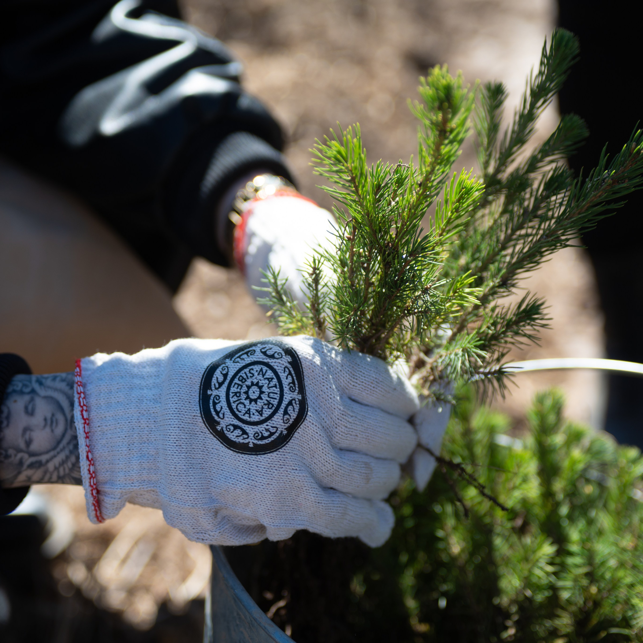 Репортажная фотосъёмка для Natura Siberica