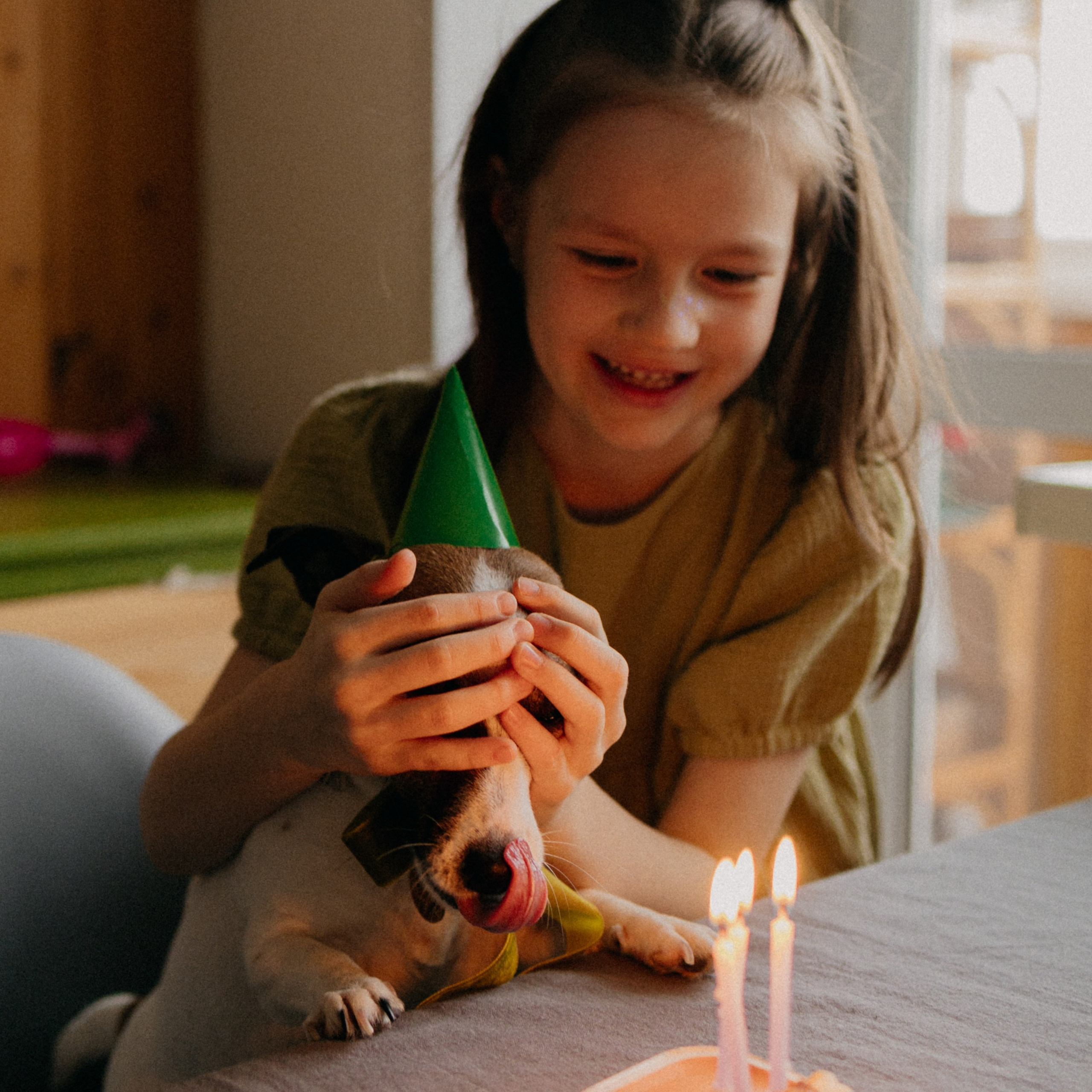 Дом. Уют. Тепло