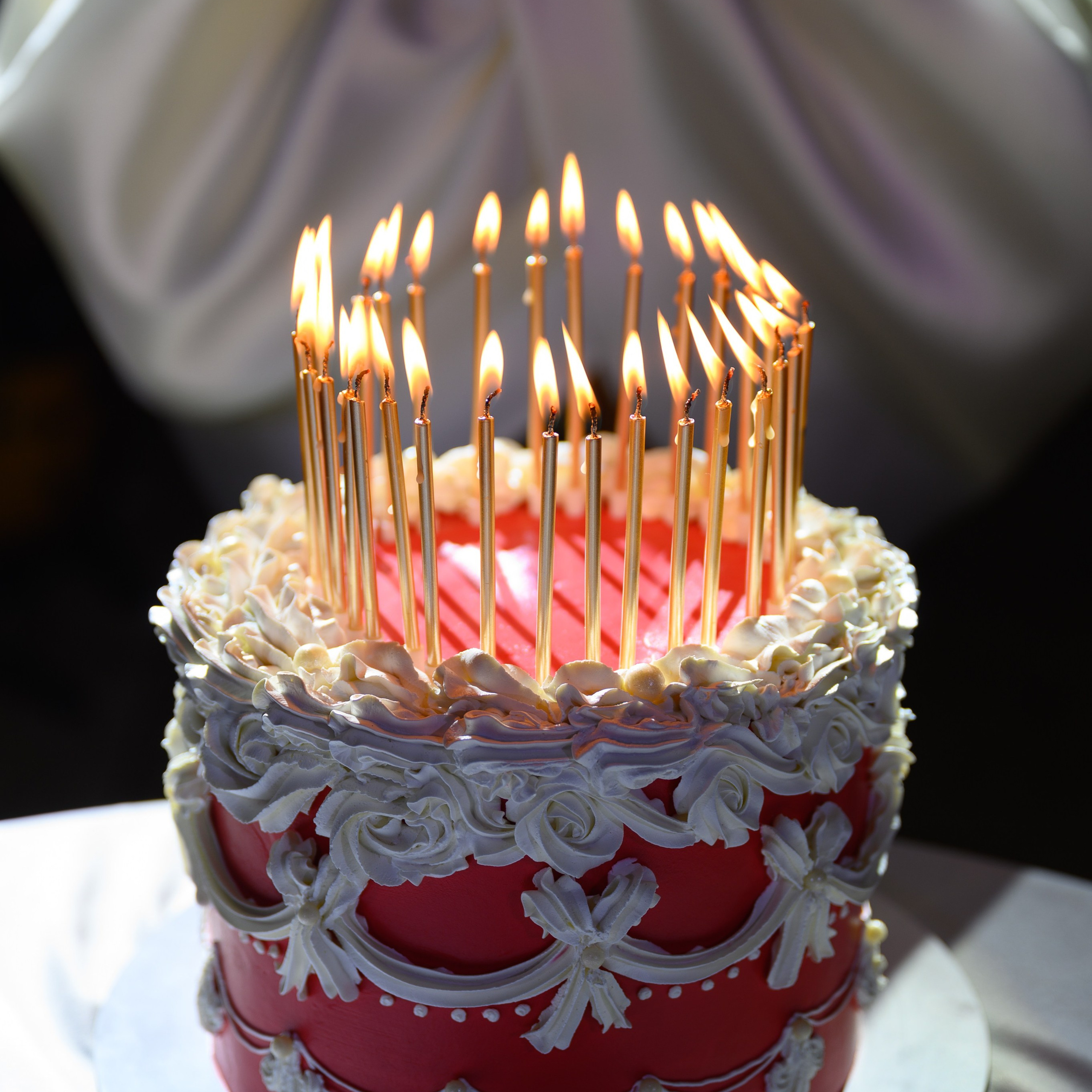 Отзывы. Марк Дробышев. Свадебный фотограф. Москва. Новосибирск