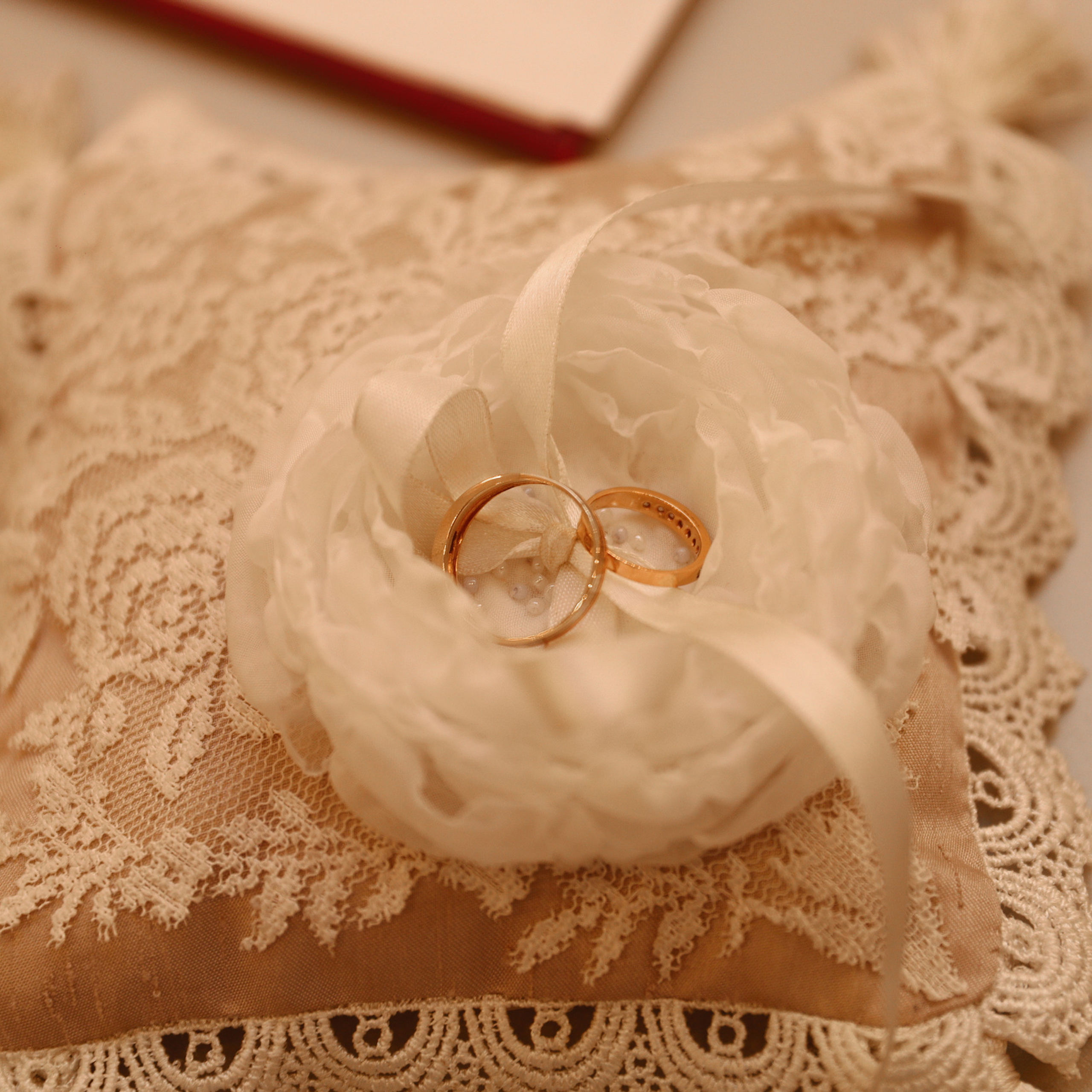 Отзывы. Марк Дробышев. Свадебный фотограф. Москва. Новосибирск