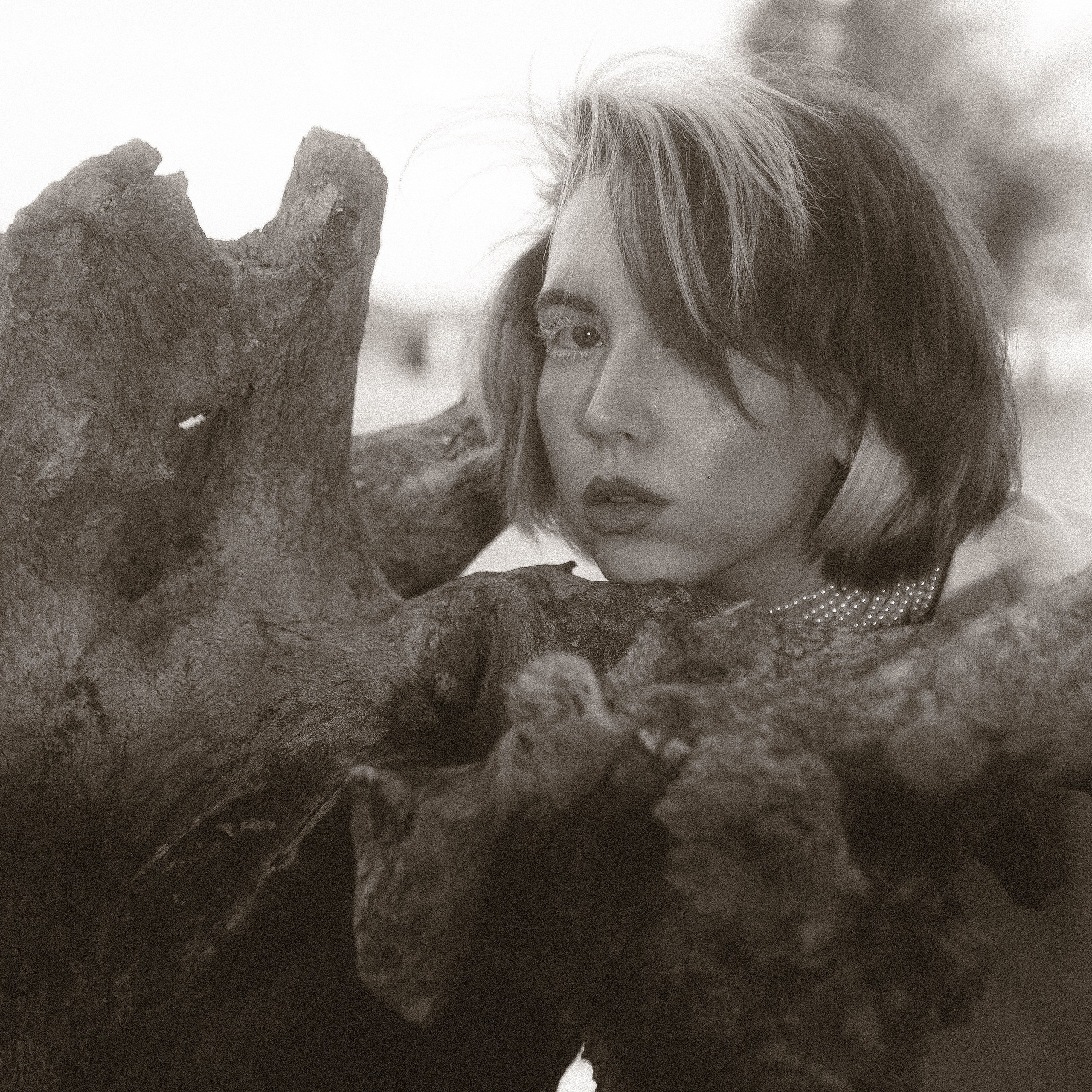 Скажи череп скольких овец