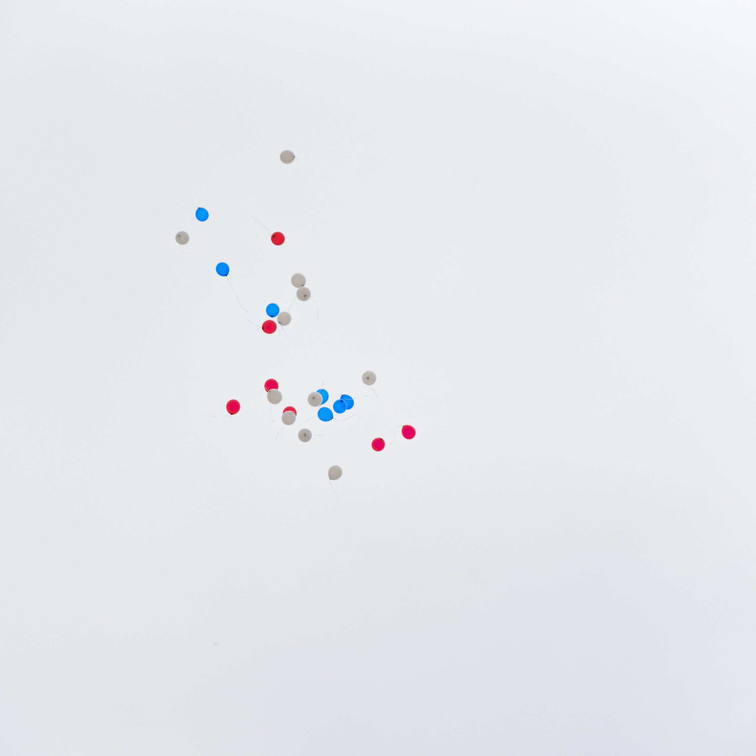 Отзывы о фотографе Евгении Хализовой. Фотограф Евгения Хализова Воскресенск, Москва, МО