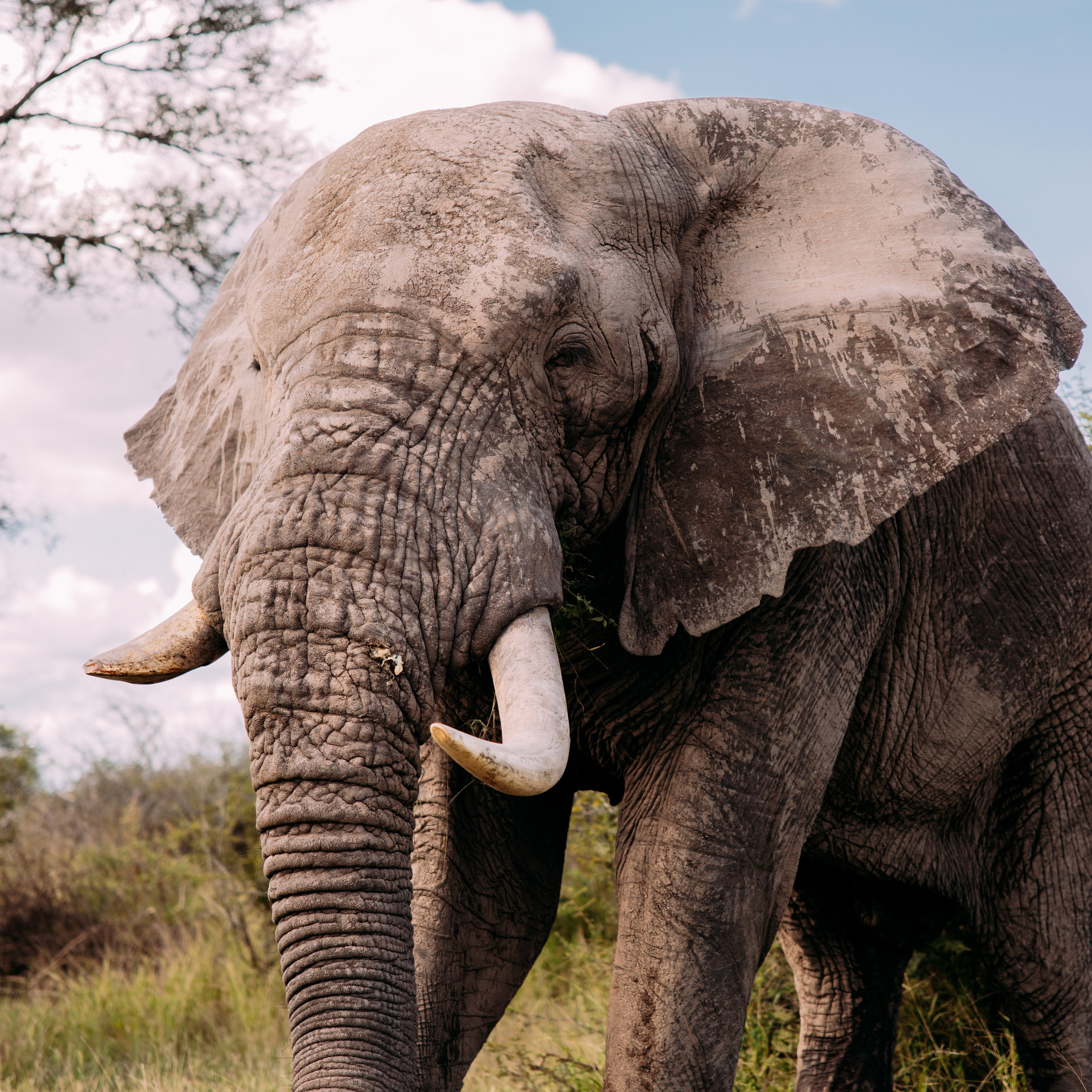 ФОТО ТУРЫ ПО&nbsp;МИРУ