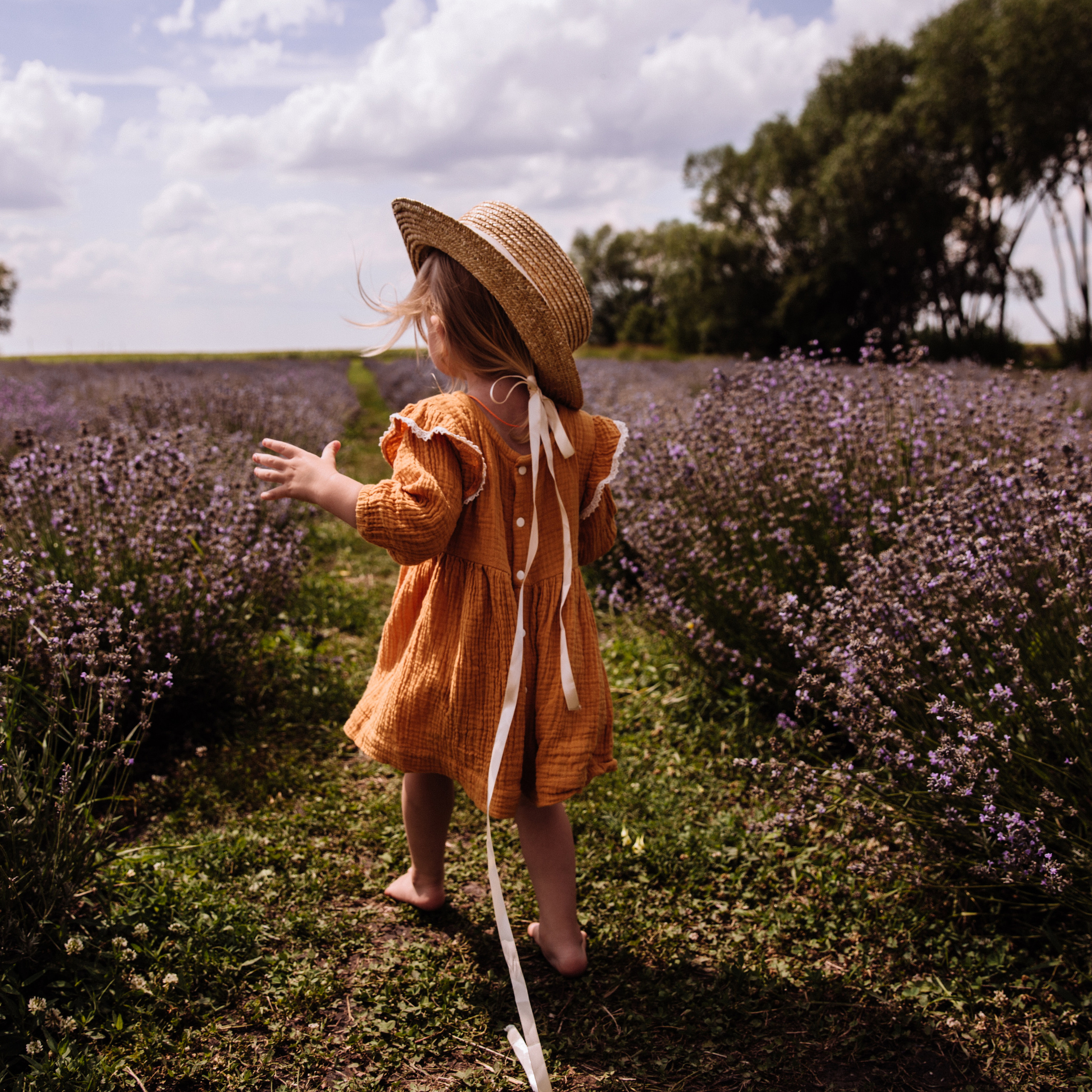 Алисёнок и лаванда