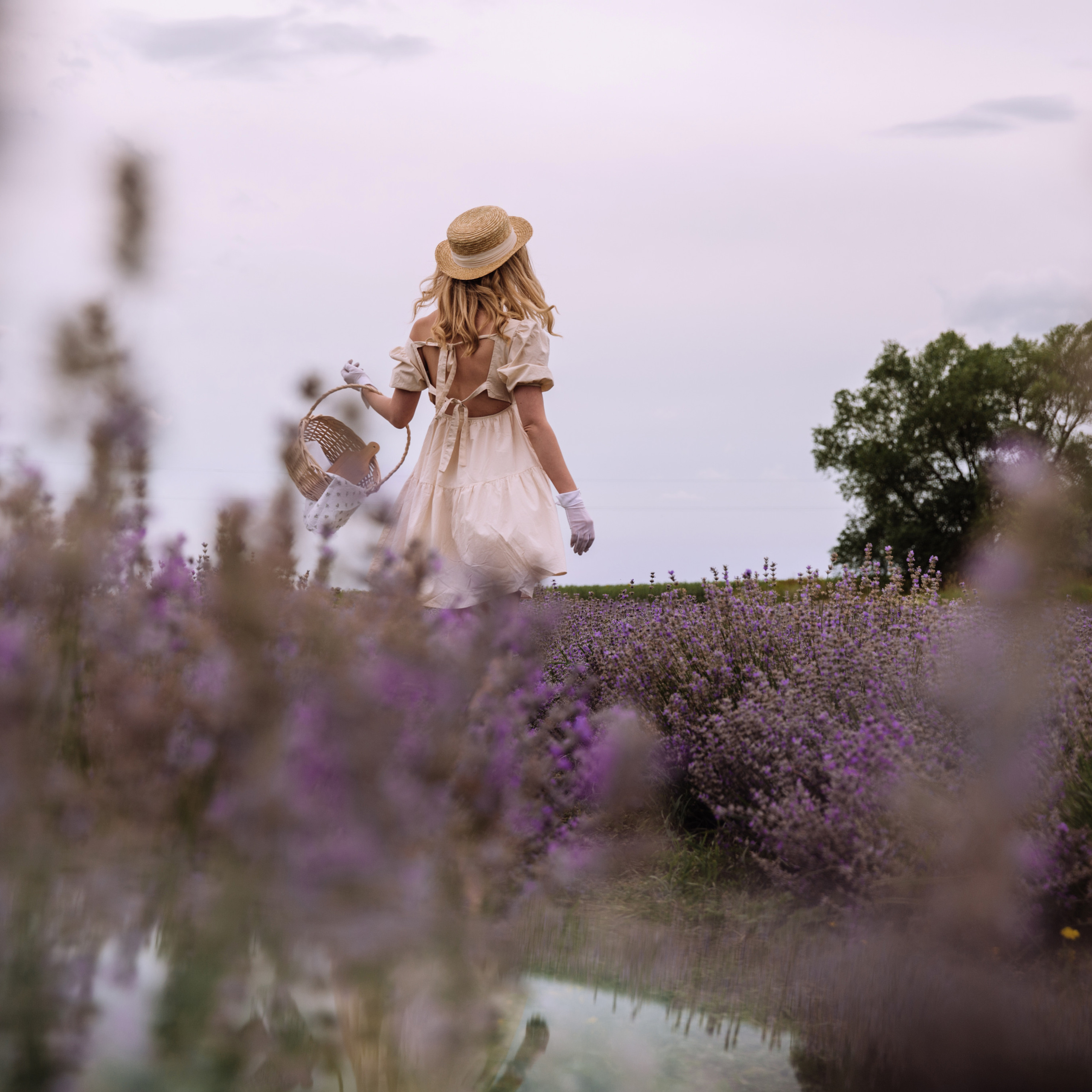 Катя и Прованс