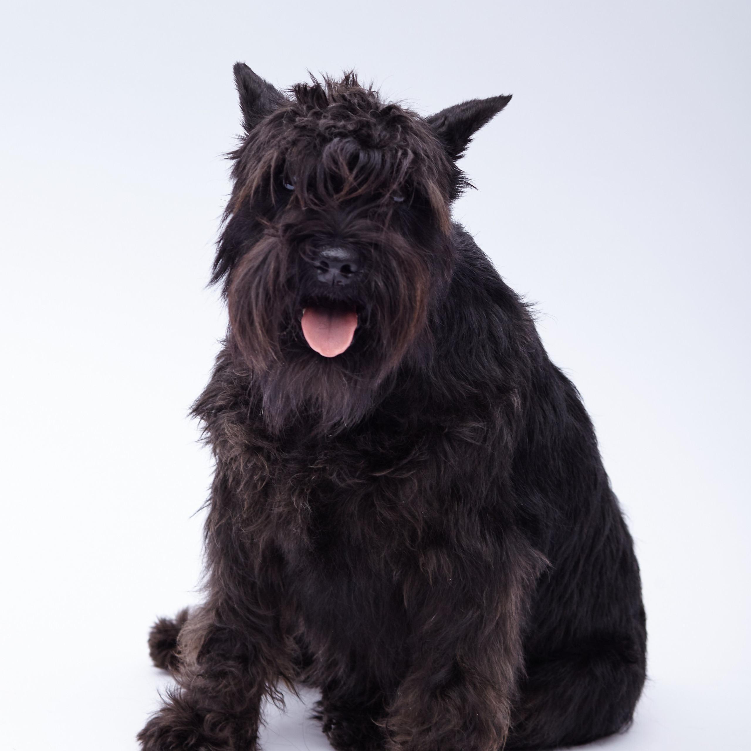 Отзывы. Я — Алексей, ваш предметный фотограф, Фотограф для онлайн-бизнеса