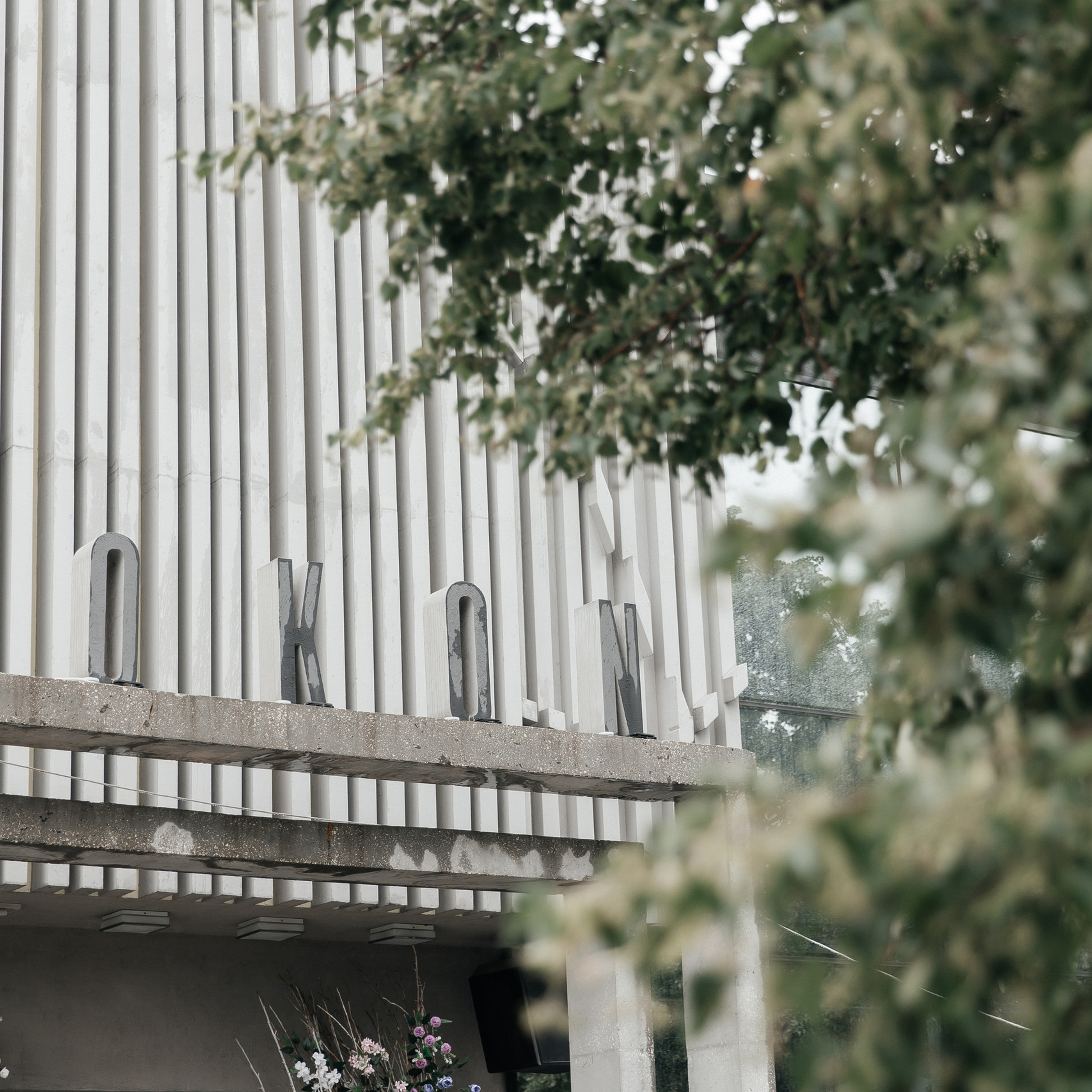 Отзывы. Фотограф Елена Краснопевцева