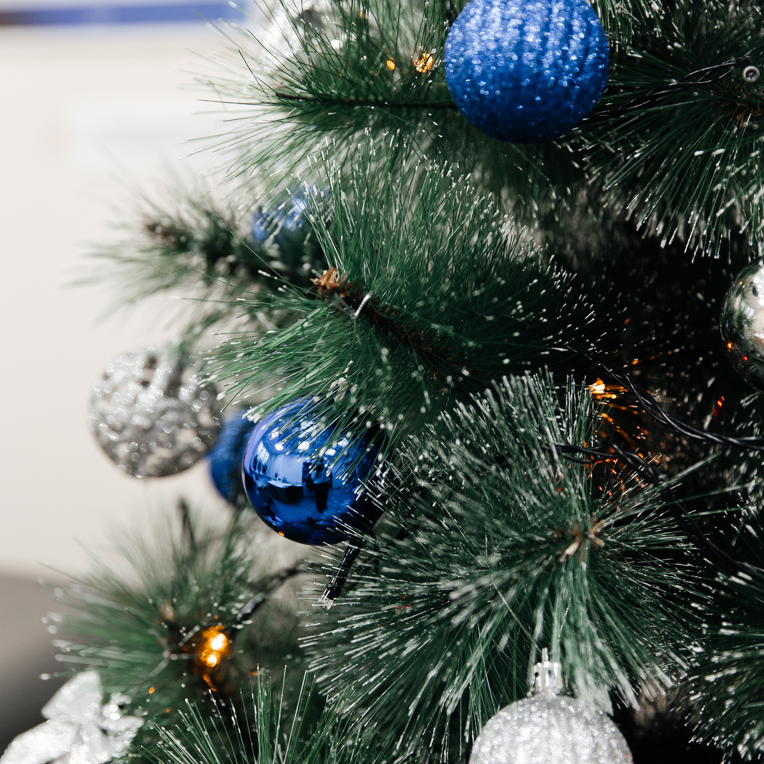 Отзывы. Фотограф Елена Краснопевцева