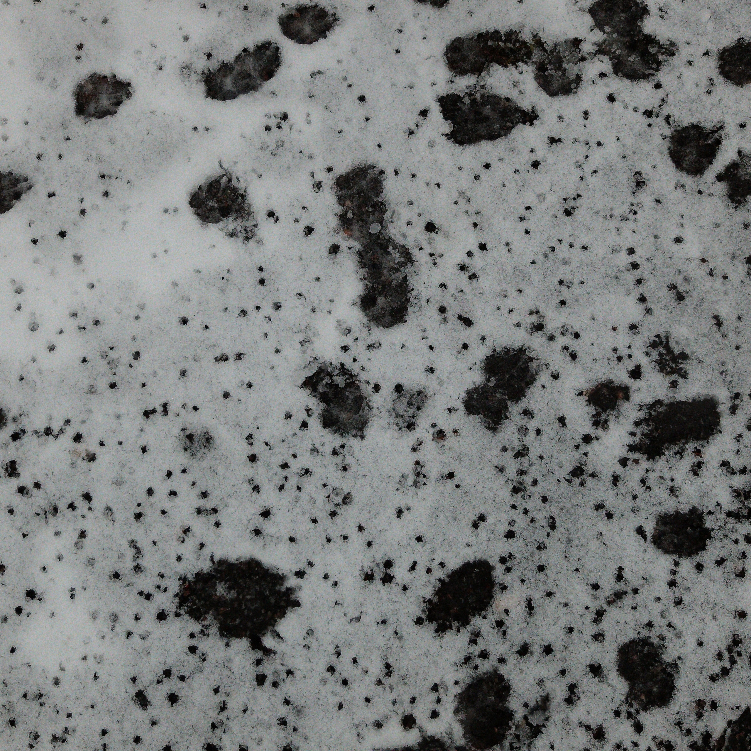 💀 ОБРАТНАЯ СТОРОНА 💀. Роман Ходырев — художник, фотограф, музыкант, эзотериолог. Санкт-Петербург, Рига