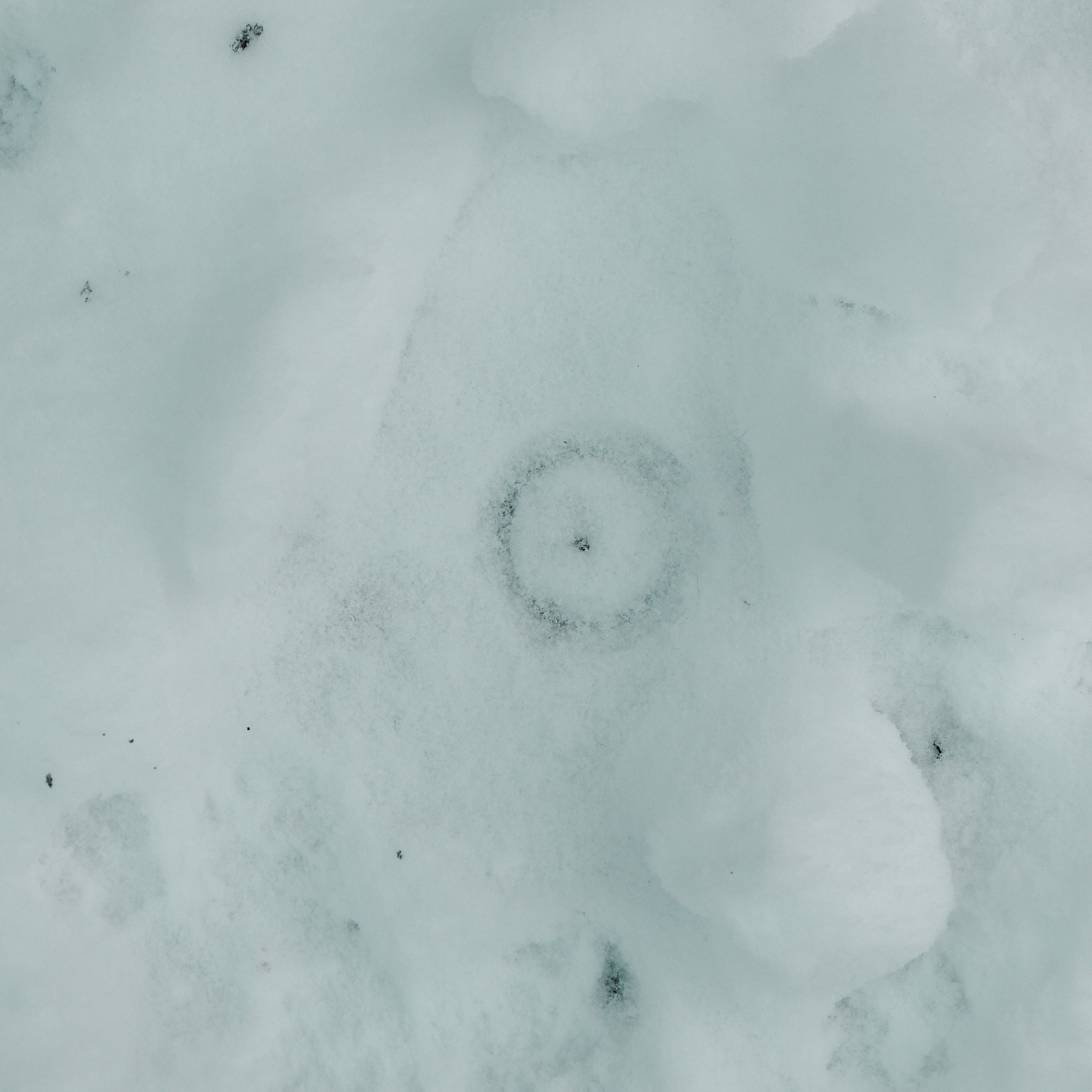 💀 ОБРАТНАЯ СТОРОНА 💀. Роман Ходырев — художник, фотограф, музыкант, эзотериолог. Санкт-Петербург, Рига