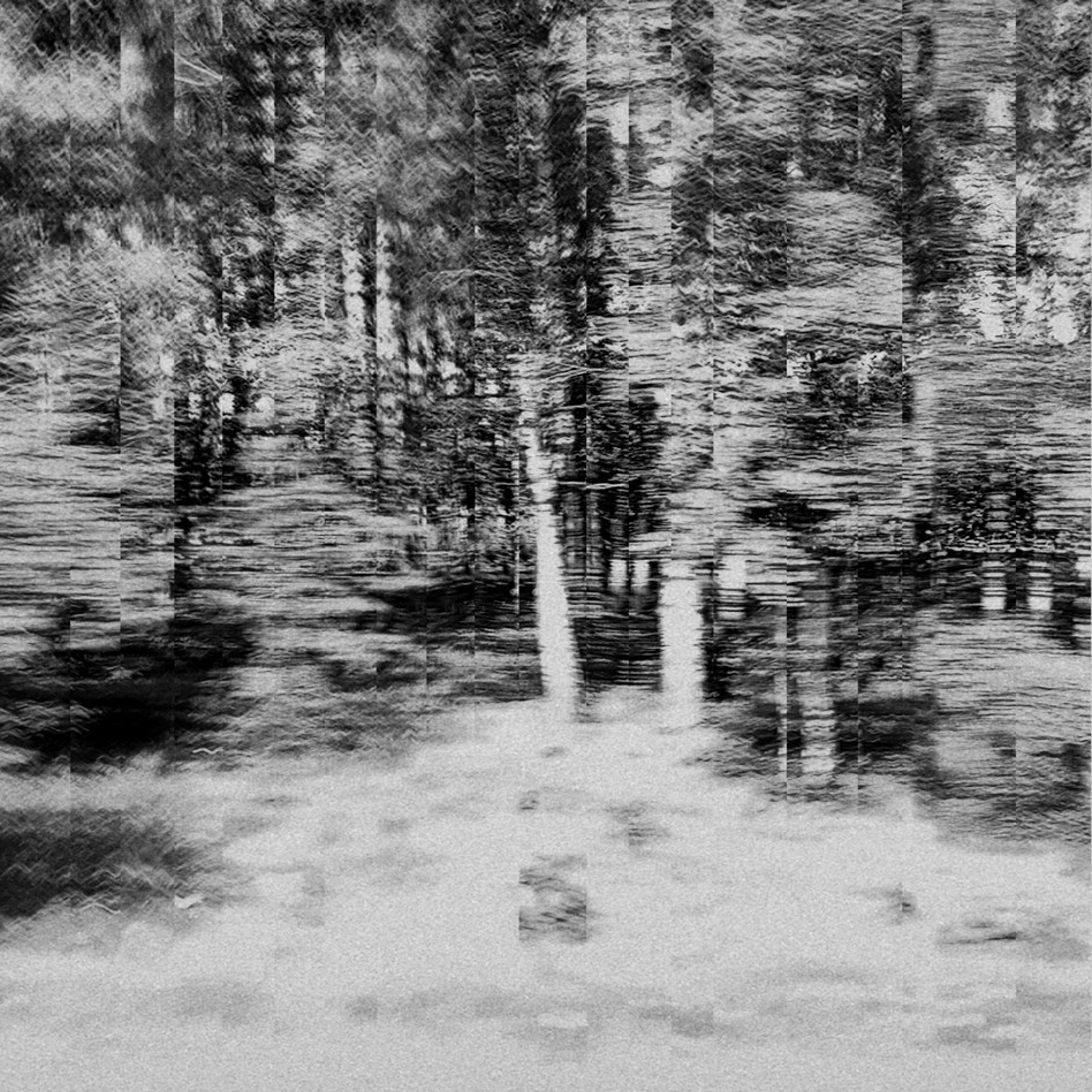 Screen Interference. Roman Hodirev is an esoteriologist, multidisciplinary artist, photographer and musician. Saint Petersburg, Riga