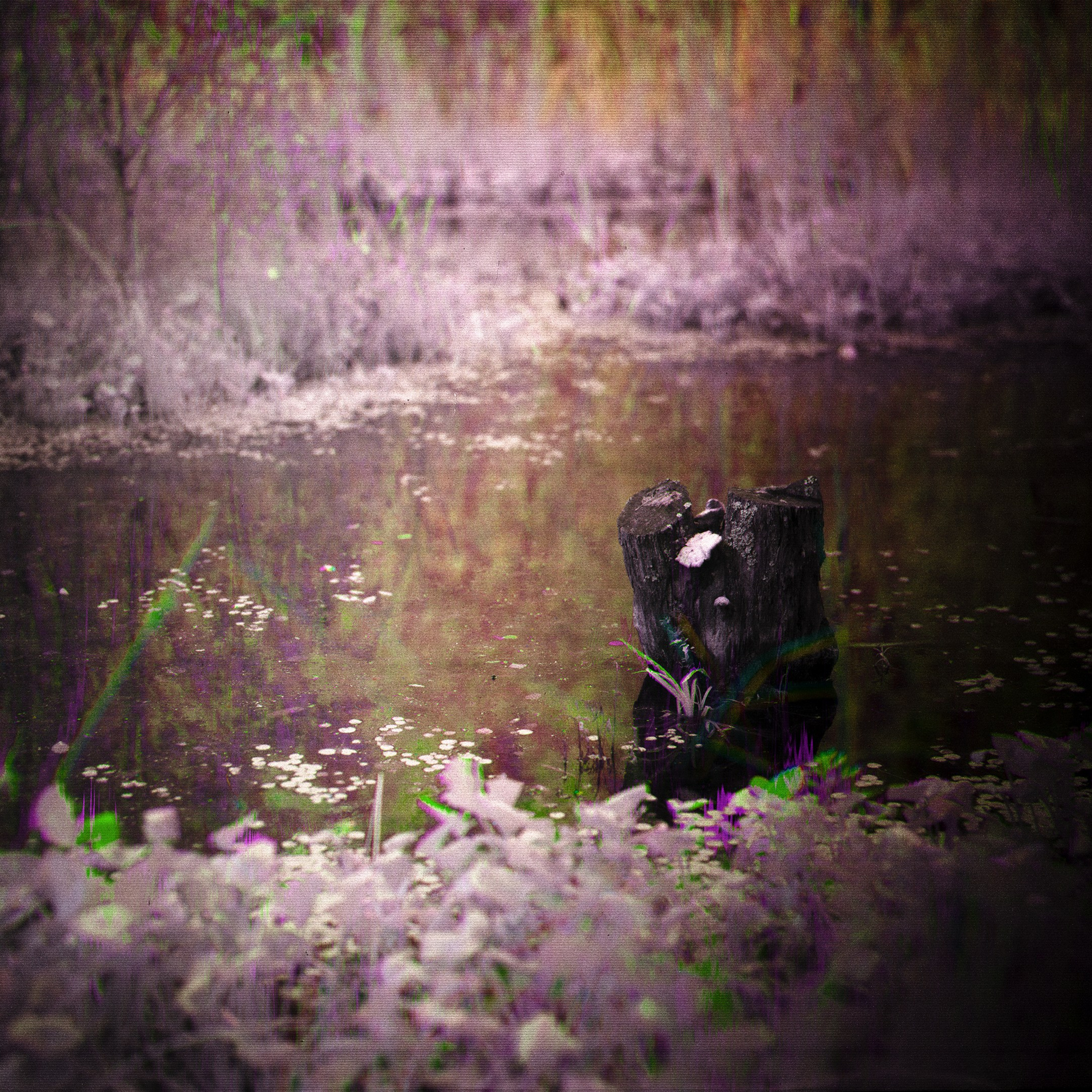 Хроно-камера «Буратино». Роман Ходырев — эзотериолог, художник, фотограф и музыкант. Санкт-Петербург, Рига