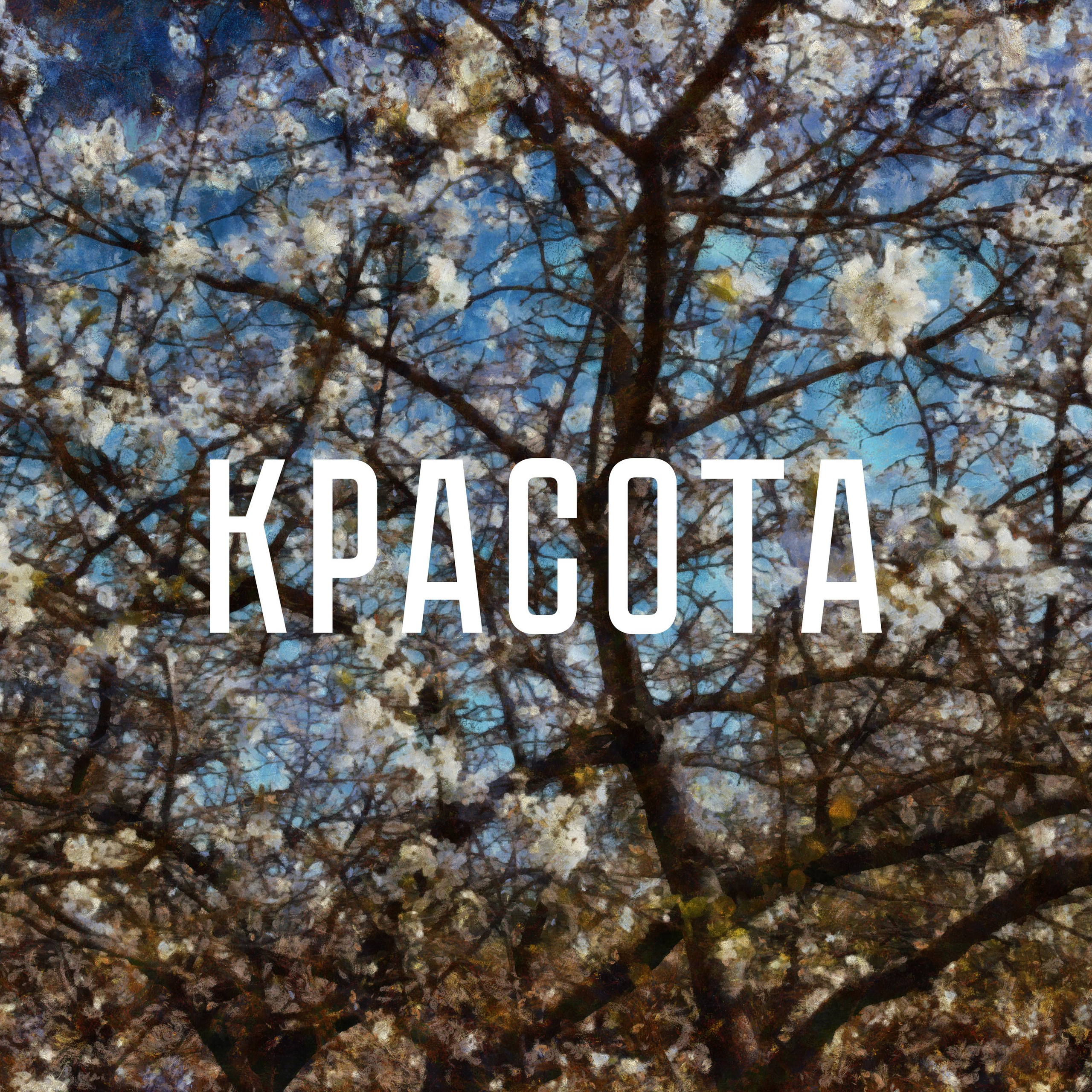 Психонавт. Роман Ходырев — эзотериолог, художник, фотограф и музыкант. Санкт-Петербург, Рига