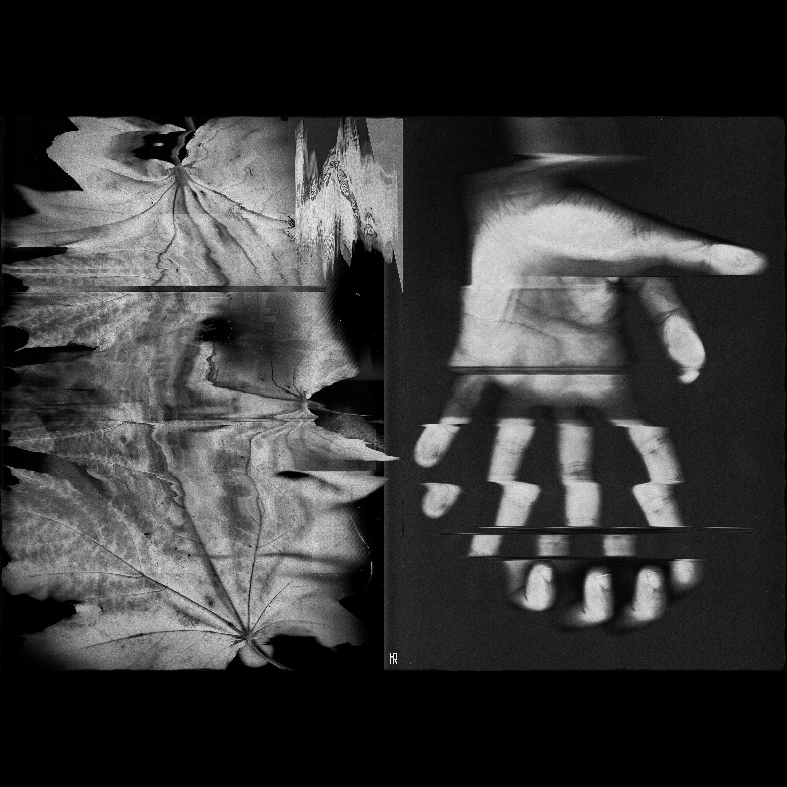 «Осенний автопортрет в листьях с кривыми пальцами»Текстура листьев напоминает жилки и линии на коже, словно природа и человек оказываются частью единого, цельного организма. Это слияние подчеркивается динамическими искажениями формы, где границы между телесным и природным стираются. Листья в работе не просто декорация, они становятся продолжением рук, символизируя, возможно, как художник растворяется в своем творчестве, или наоборот, как искусство захватывает и деформирует своего создателя.