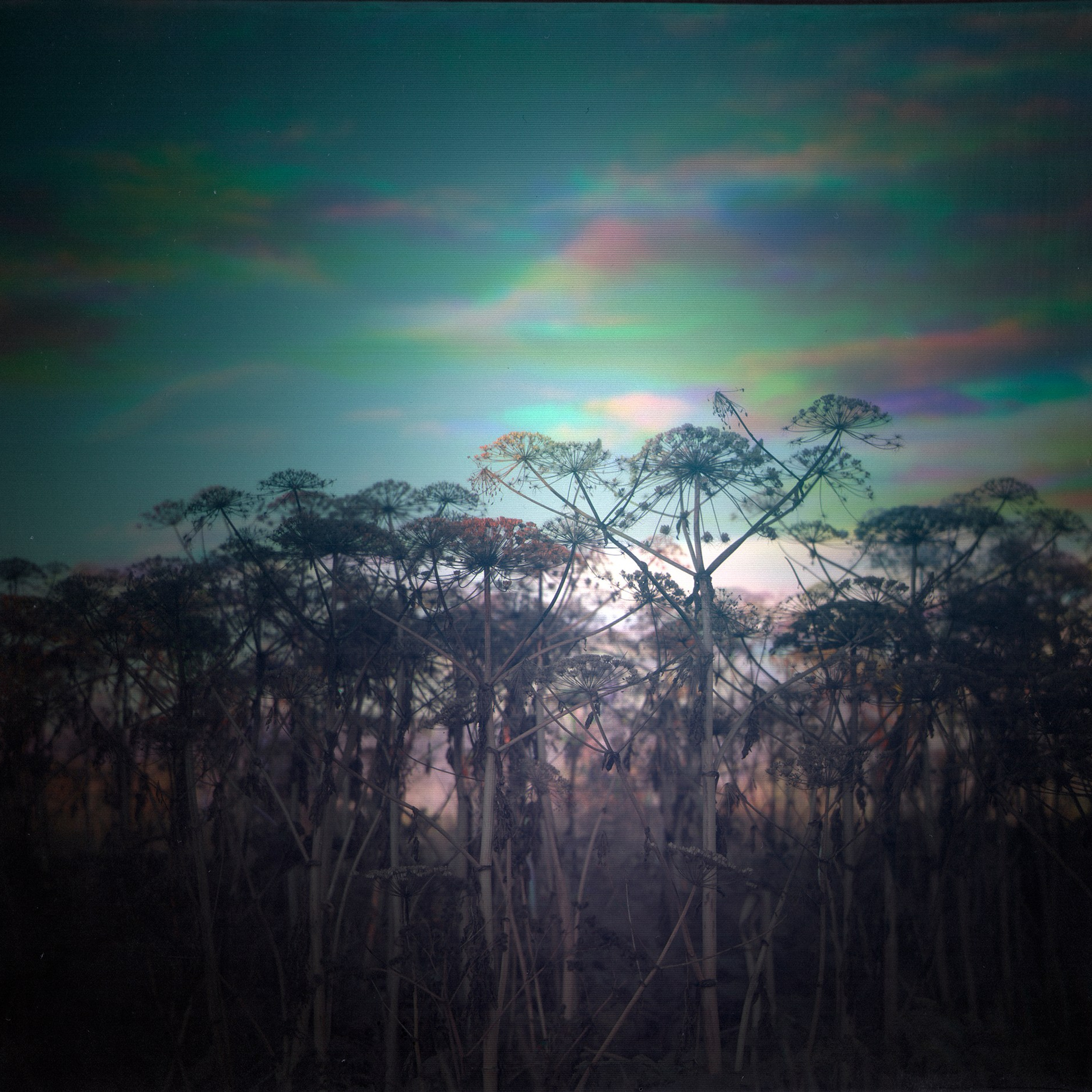 Хроно-камера «Буратино». Роман Ходырев — эзотериолог, художник, фотограф и музыкант. Санкт-Петербург, Рига