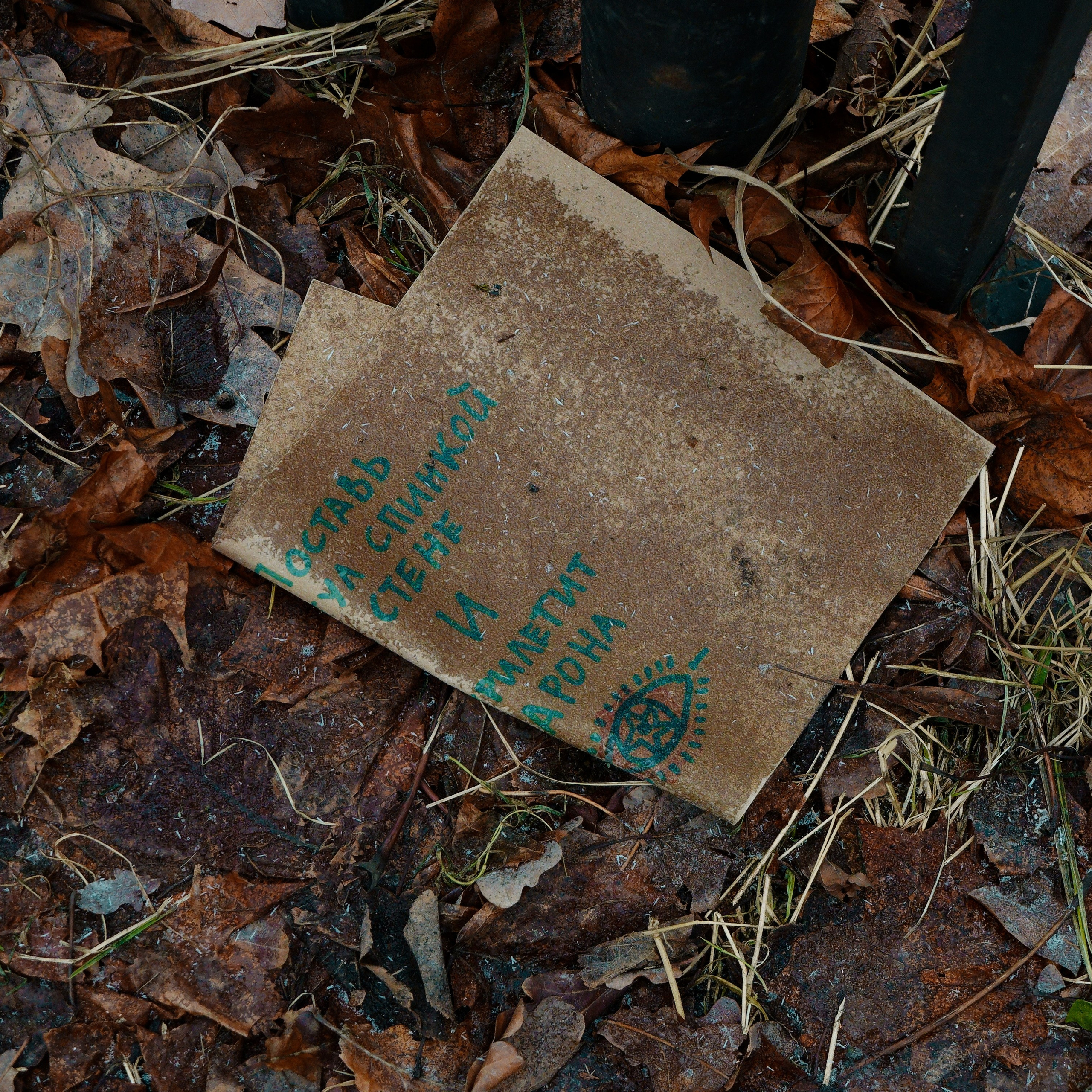 💀 ОБРАТНАЯ СТОРОНА 💀. Роман Ходырев — художник, фотограф, музыкант, эзотериолог. Санкт-Петербург, Рига