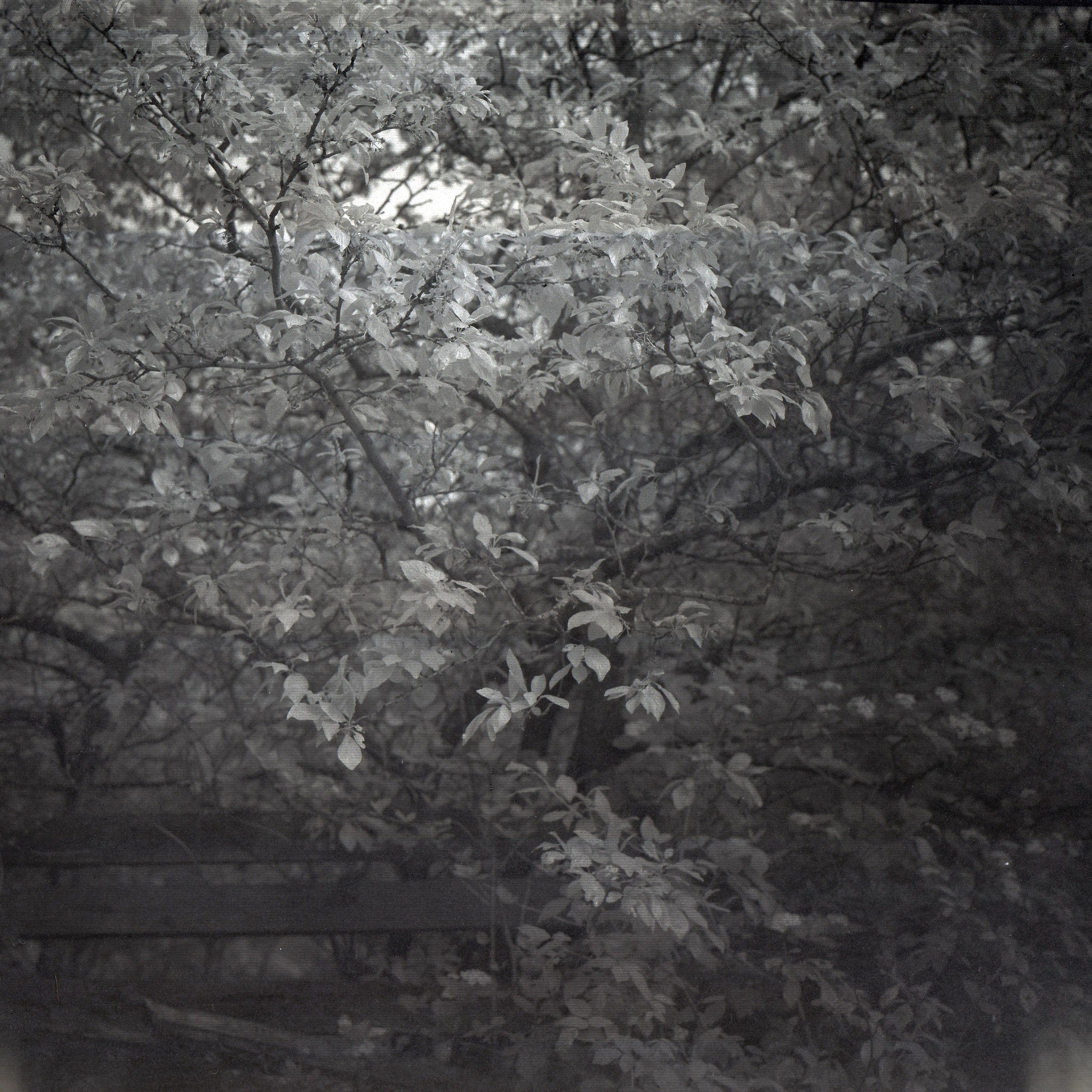 Хроно-камера «Буратино». Роман Ходырев — эзотериолог, художник, фотограф и музыкант. Санкт-Петербург, Рига