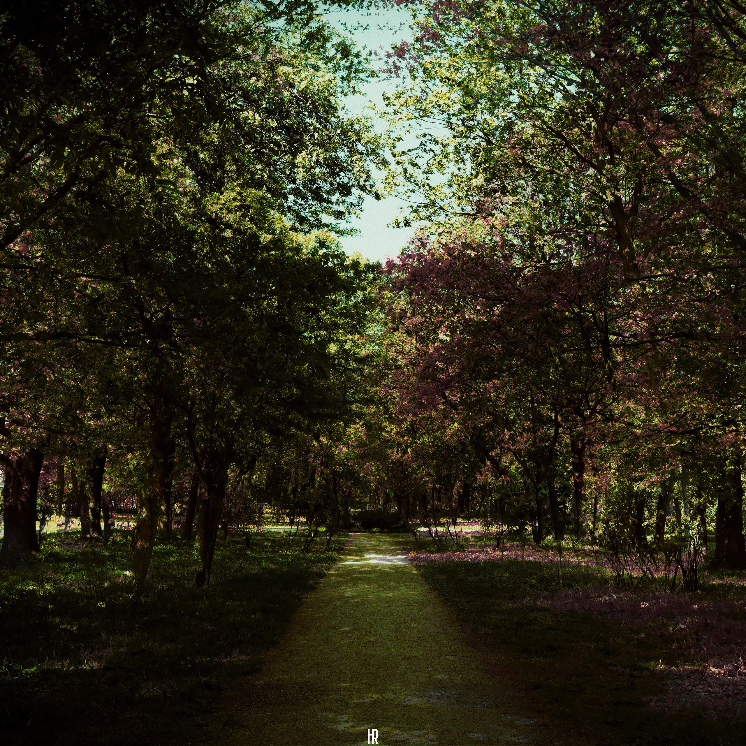 Картина Романа Ходырева - Глубина, заманивает зрителя в мир контрастов и иллюзий, напоминающих тени и свет сознания. Это не просто тенистая дорога в парке, защищающая от летнего зноя, но метафорическая аллегория внутреннего мира человека. Левый край картины, символизирующий правую, рациональную половину мозга, поначалу кажется ясным и логичным. Однако именно здесь живут иллюзии, что питают убеждения, скрытые в тени деревьев, которые символизируют нервные цепи нашего разума.