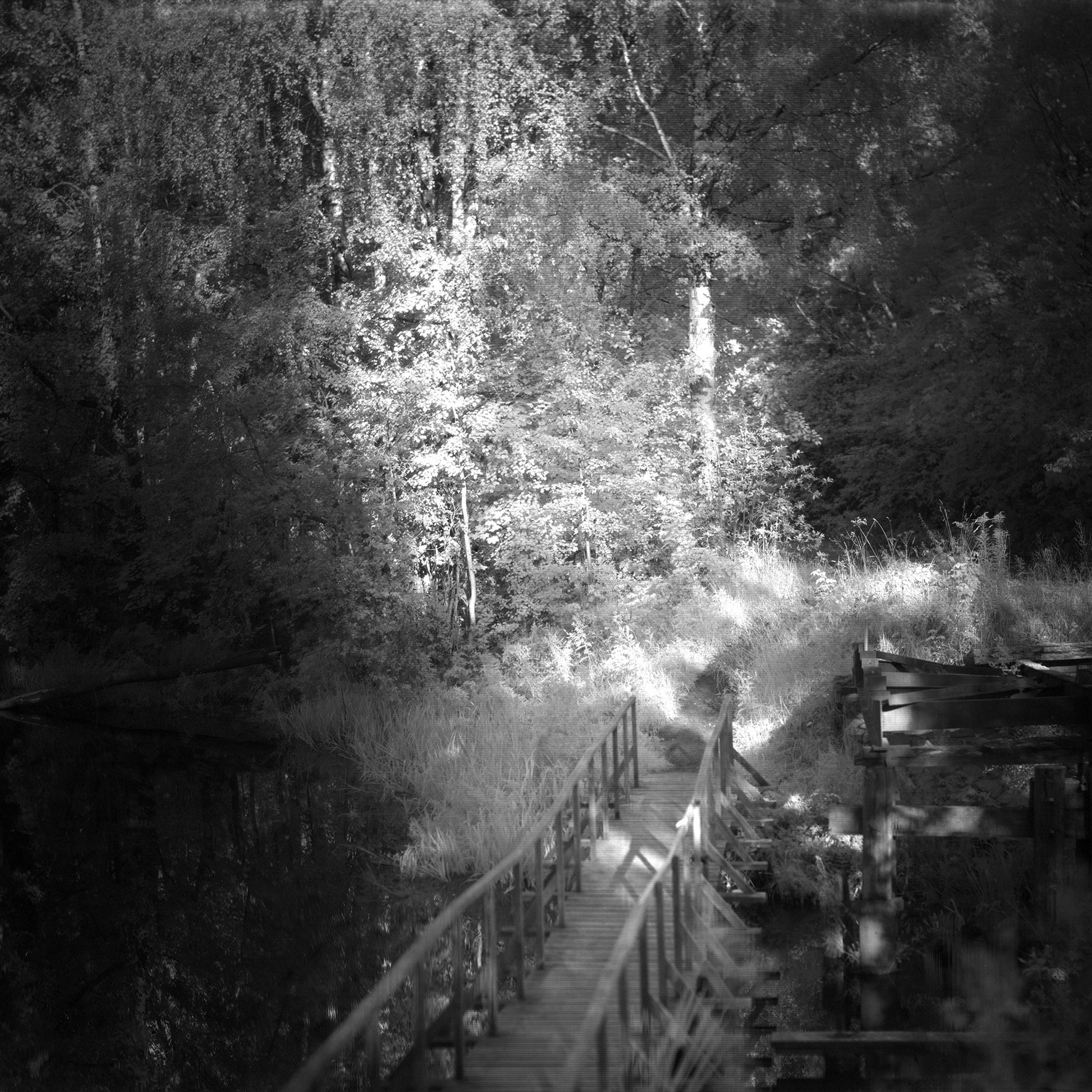 Хроно-камера «Буратино». Роман Ходырев — эзотериолог, художник, фотограф и музыкант. Санкт-Петербург, Рига