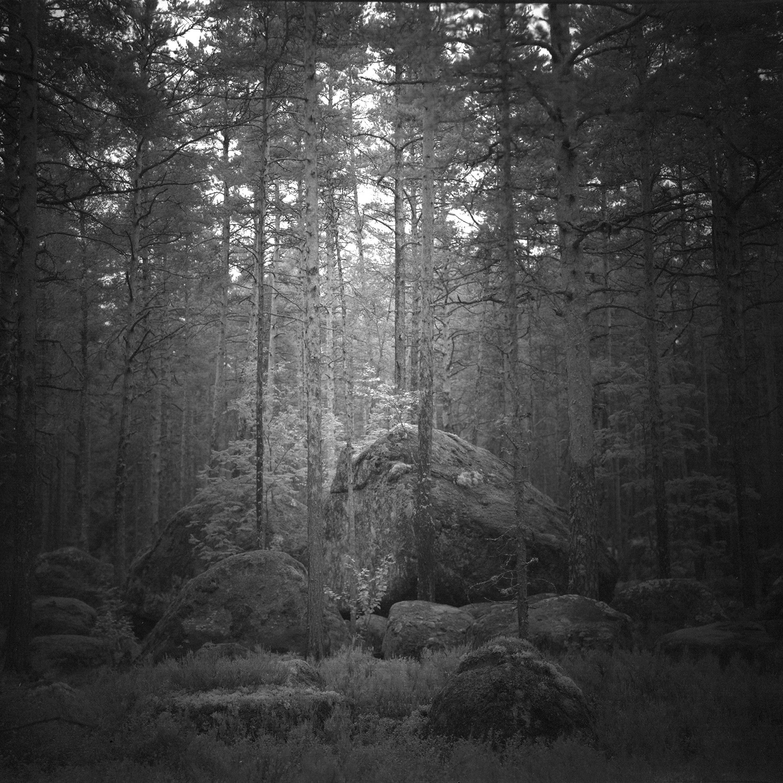 Хроно-камера «Буратино». Роман Ходырев — эзотериолог, художник, фотограф и музыкант. Санкт-Петербург, Рига