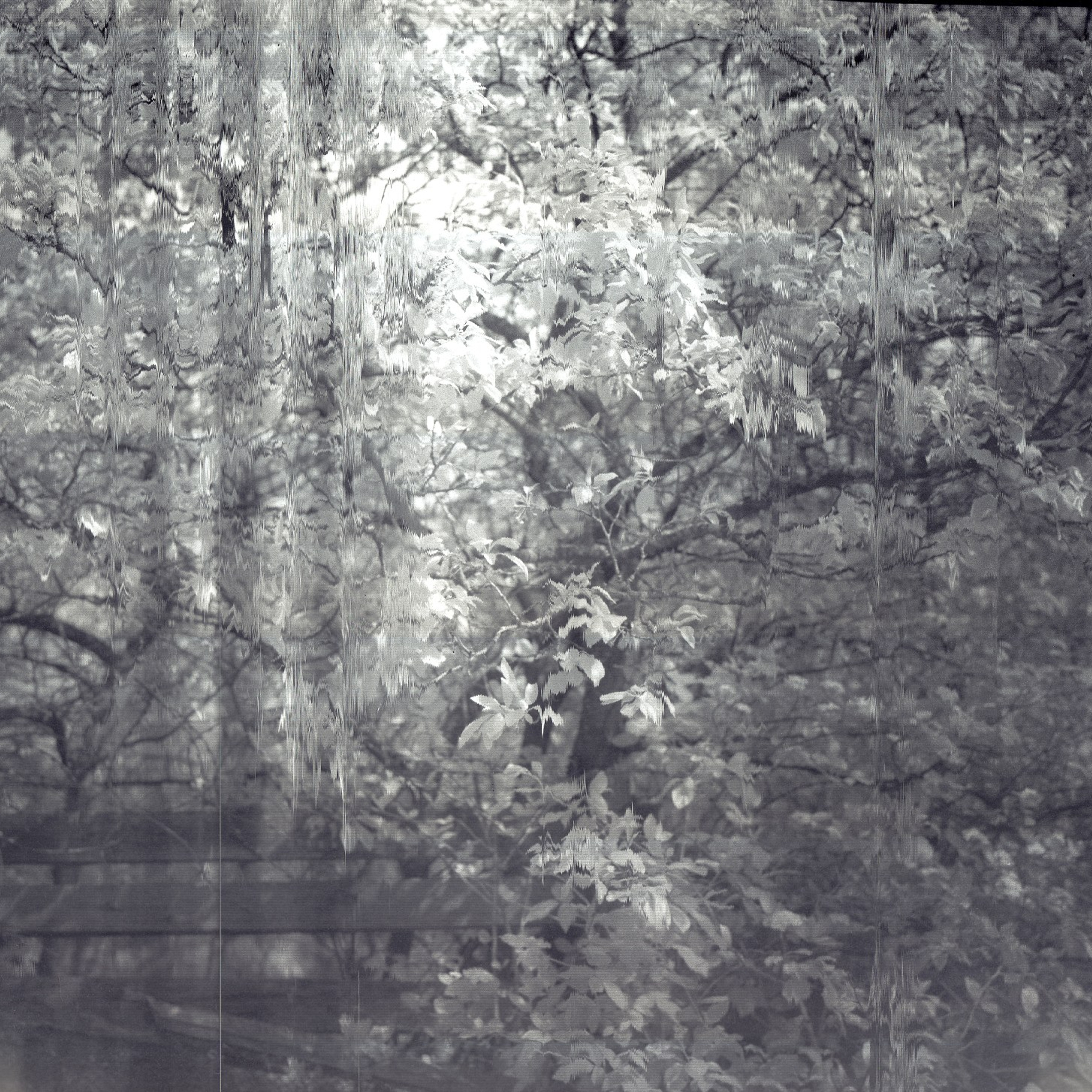 Хроно-камера «Буратино». Роман Ходырев — эзотериолог, художник, фотограф и музыкант. Санкт-Петербург, Рига