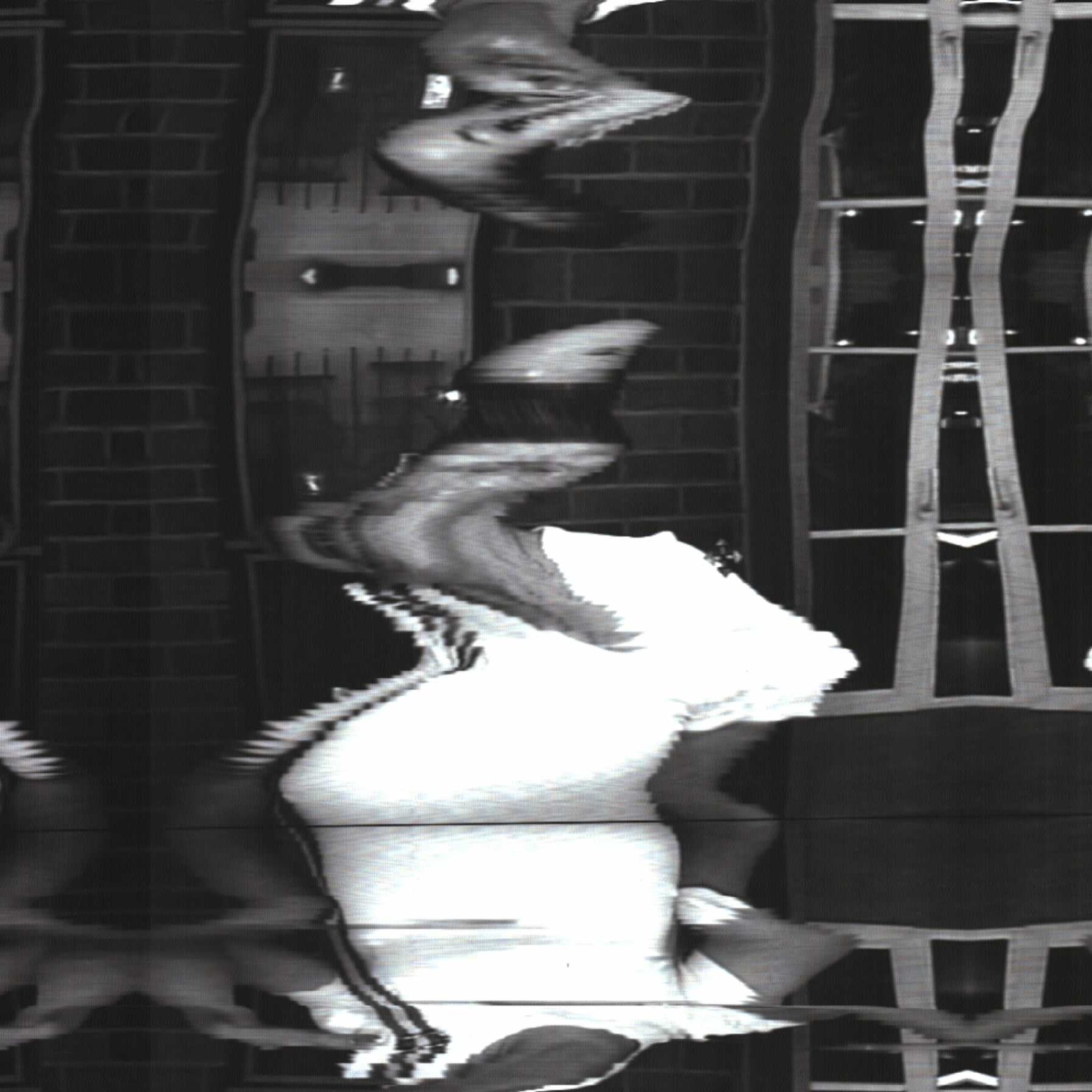 Fluxus Selfie Machine. Роман Ходырев — эзотериолог, художник, фотограф и музыкант. Санкт-Петербург, Рига