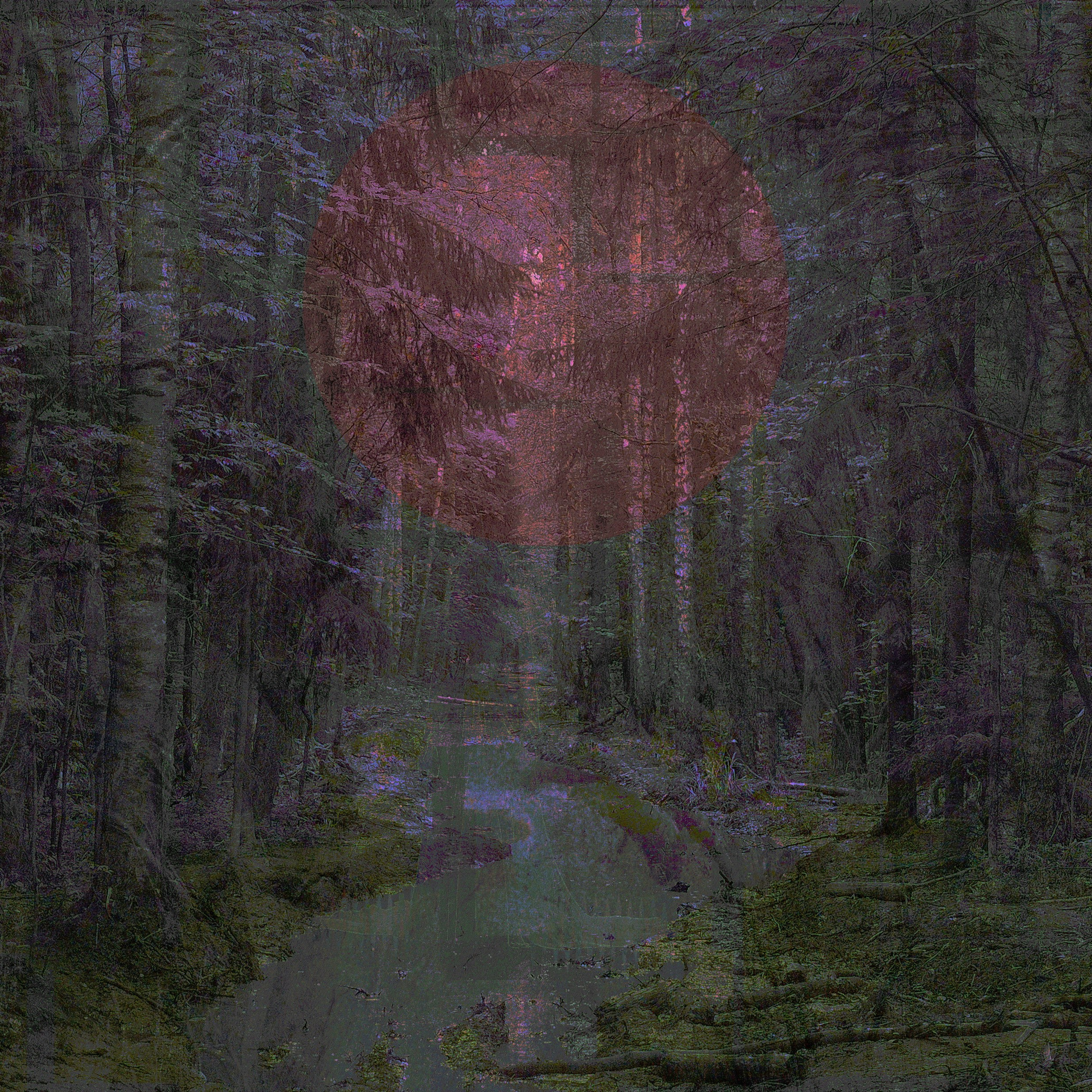 Screen Interference. Roman Hodirev is an esoteriologist, multidisciplinary artist, photographer and musician. Saint Petersburg, Riga