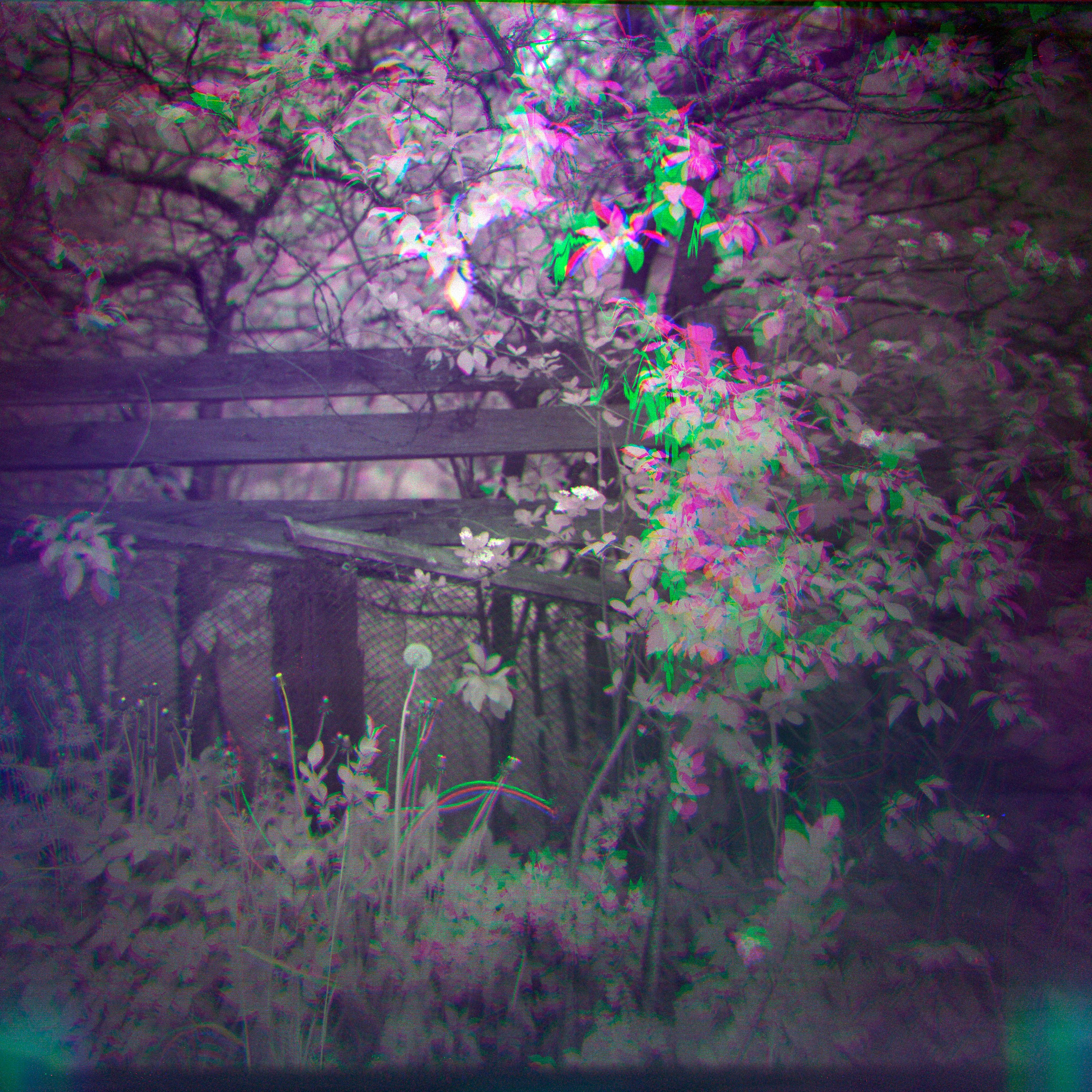 Хроно-камера «Буратино». Роман Ходырев — эзотериолог, художник, фотограф и музыкант. Санкт-Петербург, Рига