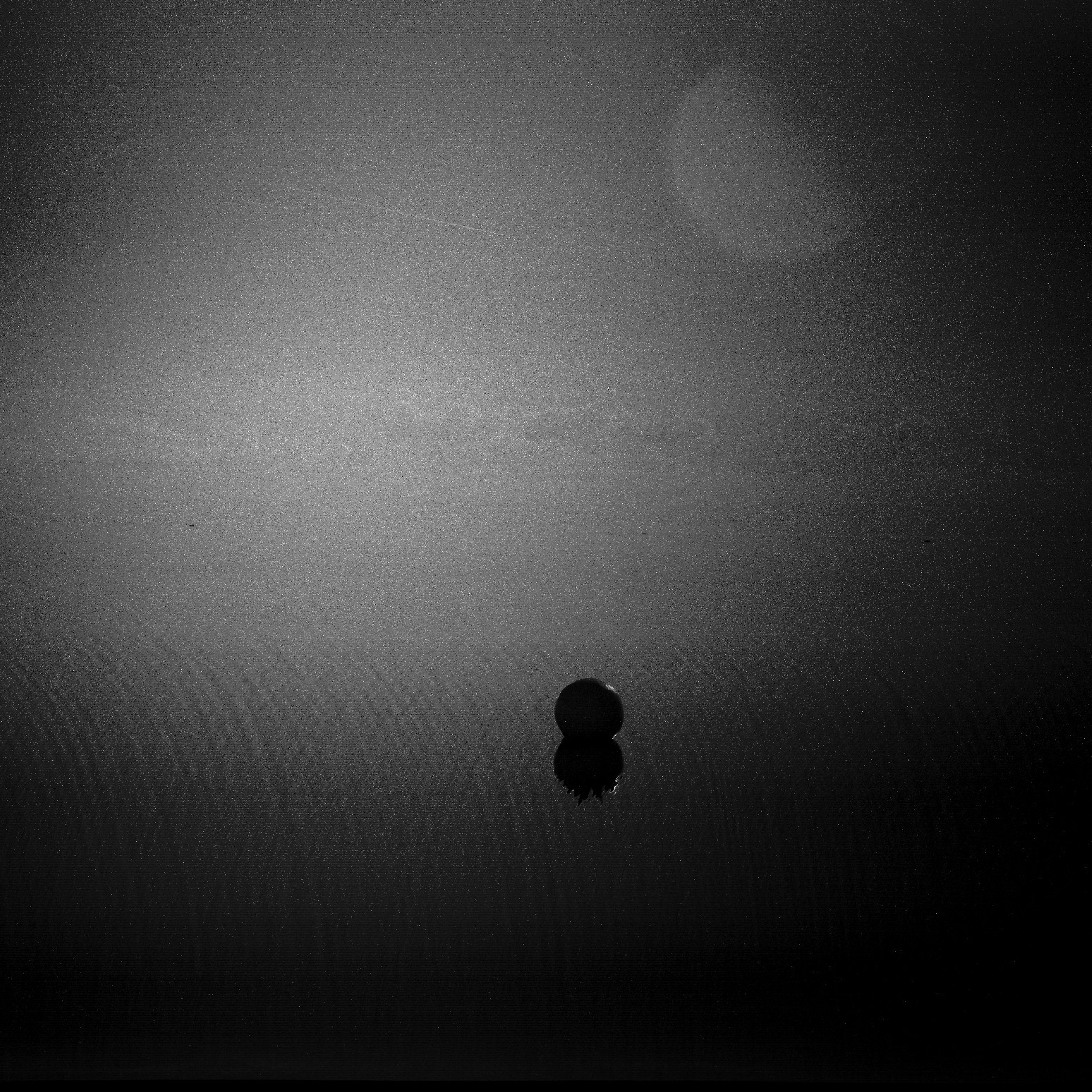 Икра Сатурна, на краю мира