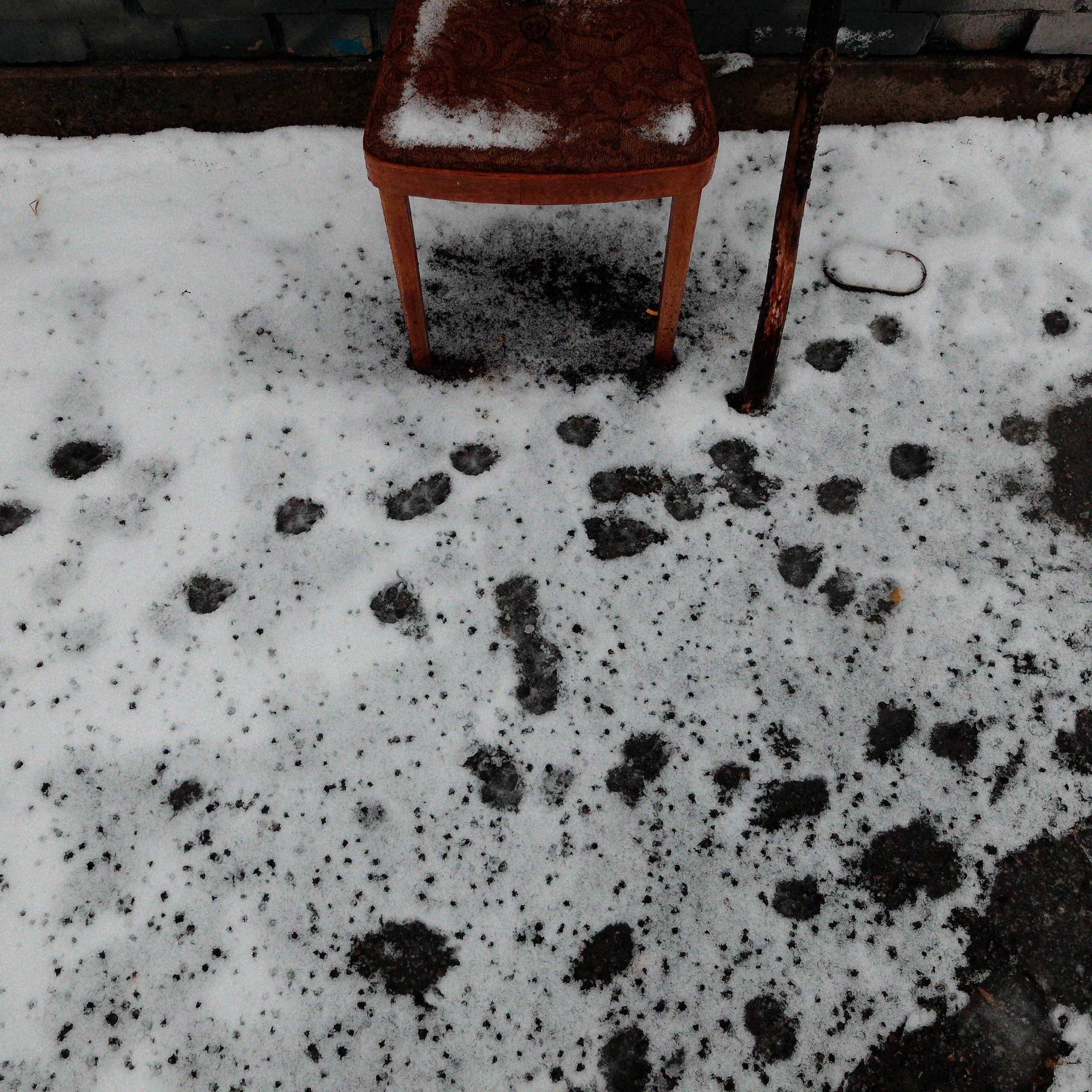 💀 ОБРАТНАЯ СТОРОНА 💀. Роман Ходырев — художник, фотограф, музыкант, эзотериолог. Санкт-Петербург, Рига