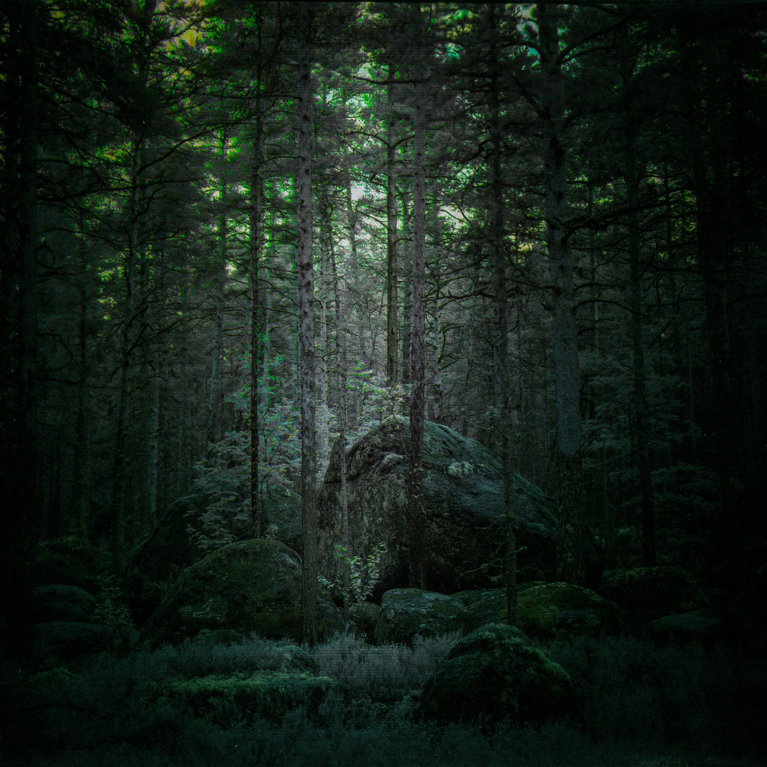 Хроно-камера «Буратино». Роман Ходырев — эзотериолог, художник, фотограф и музыкант. Санкт-Петербург, Рига