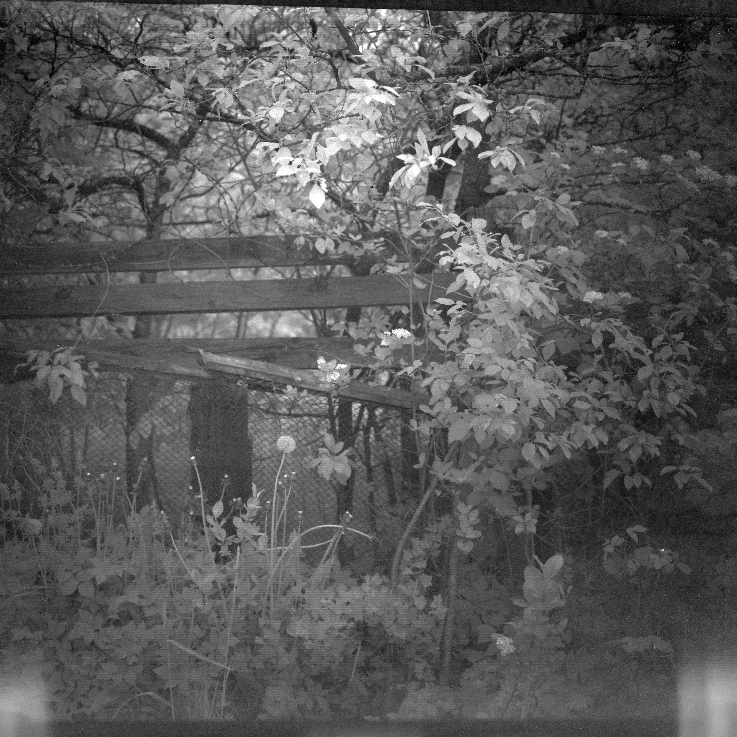 Хроно-камера «Буратино». Роман Ходырев — эзотериолог, художник, фотограф и музыкант. Санкт-Петербург, Рига