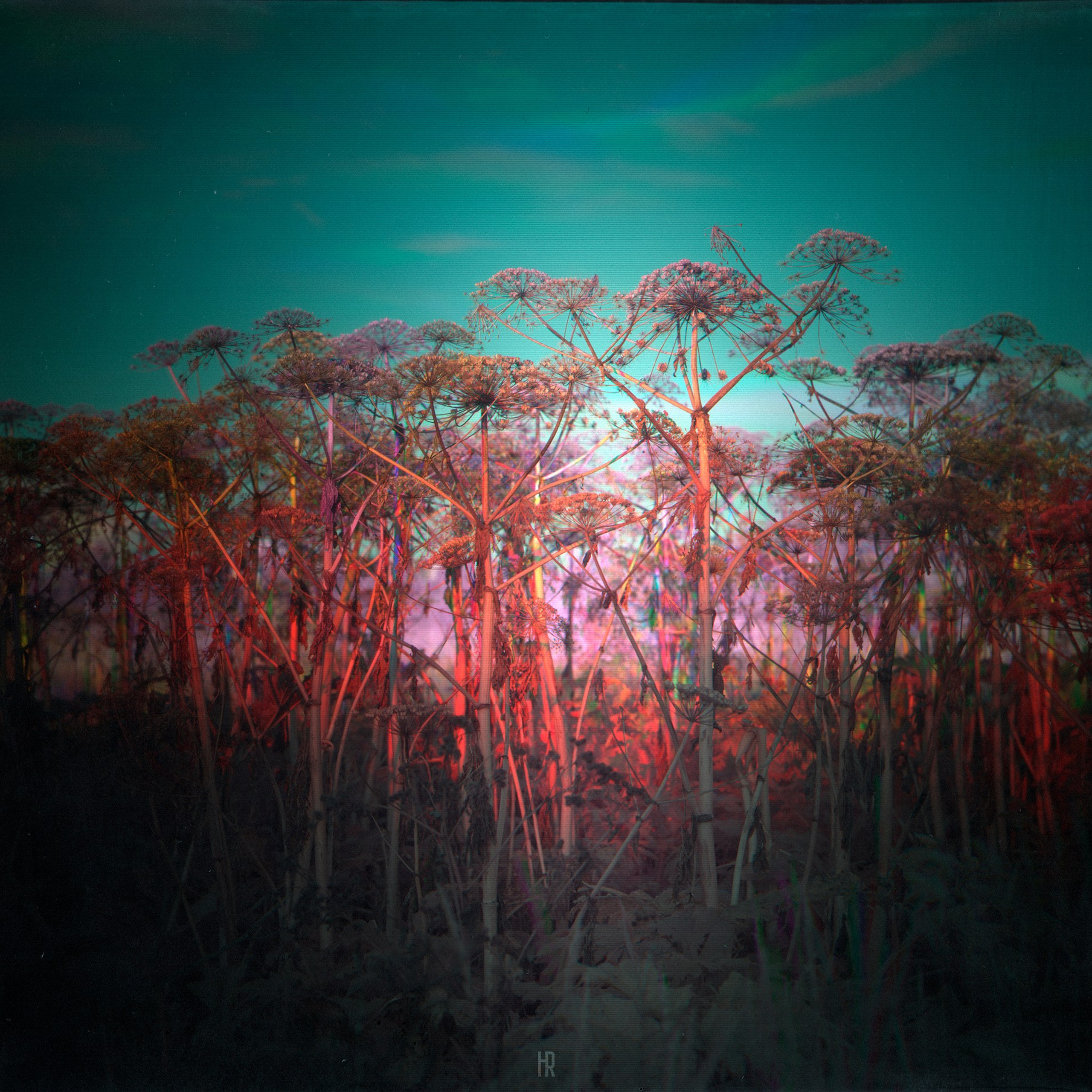 Хроно-камера «Буратино». Роман Ходырев — эзотериолог, художник, фотограф и музыкант. Санкт-Петербург, Рига