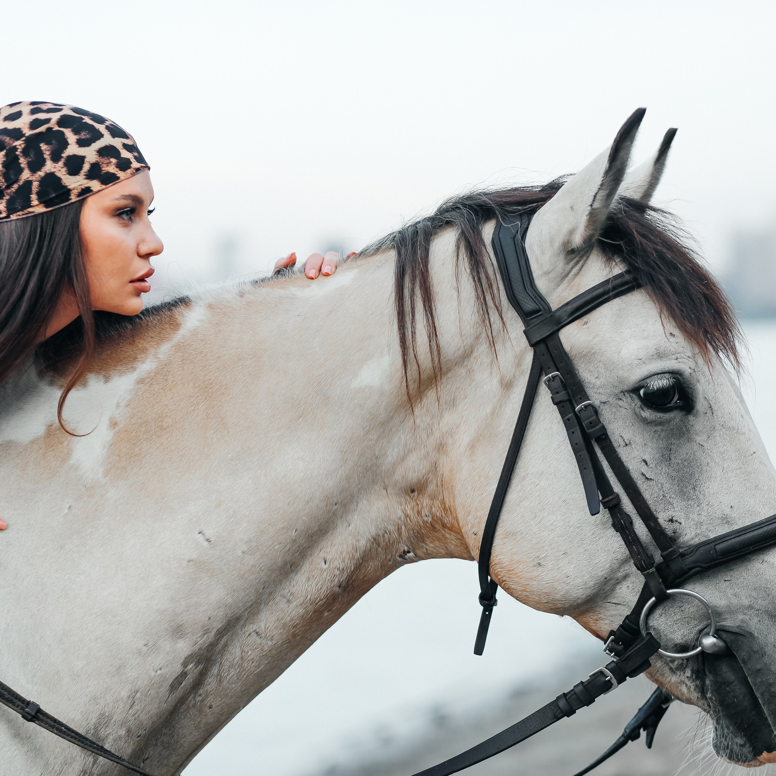 Пакет Стандарт 3000