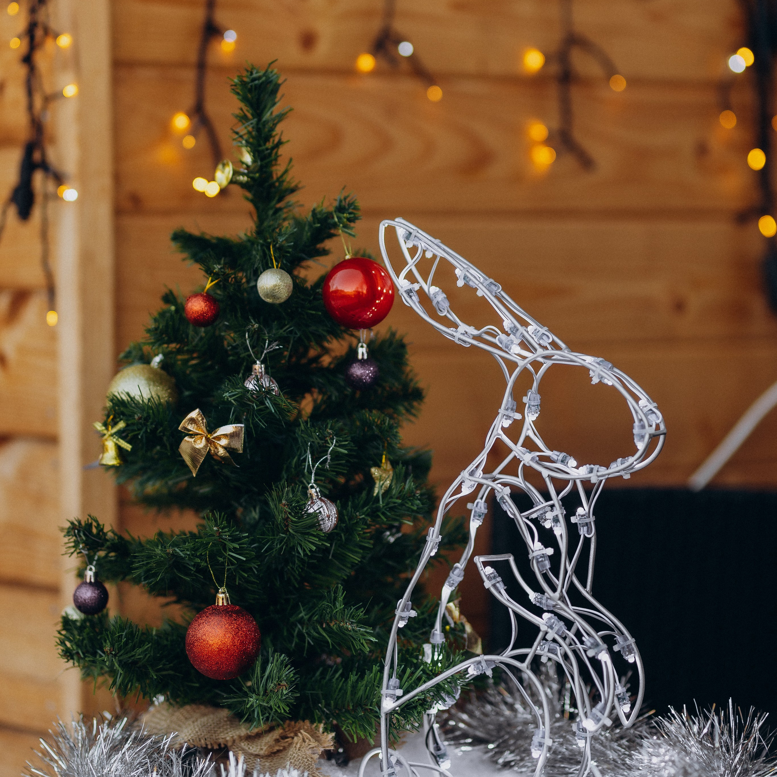 Отзывы. Профессиональный фотограф Кристина Искусных. Талдом- Москва