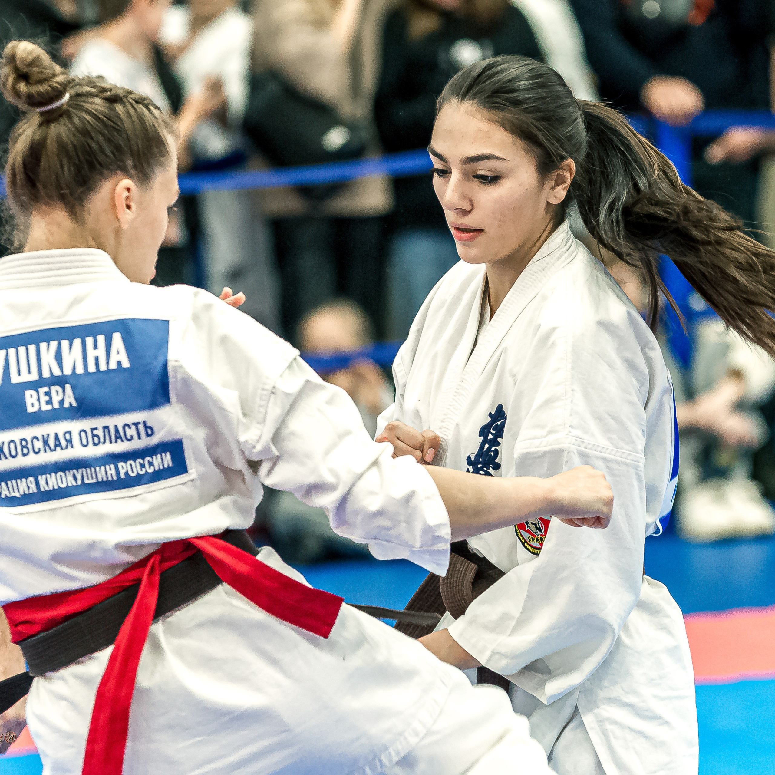 Отзывы. Репортажная съемка в Москве и области. Анималистика