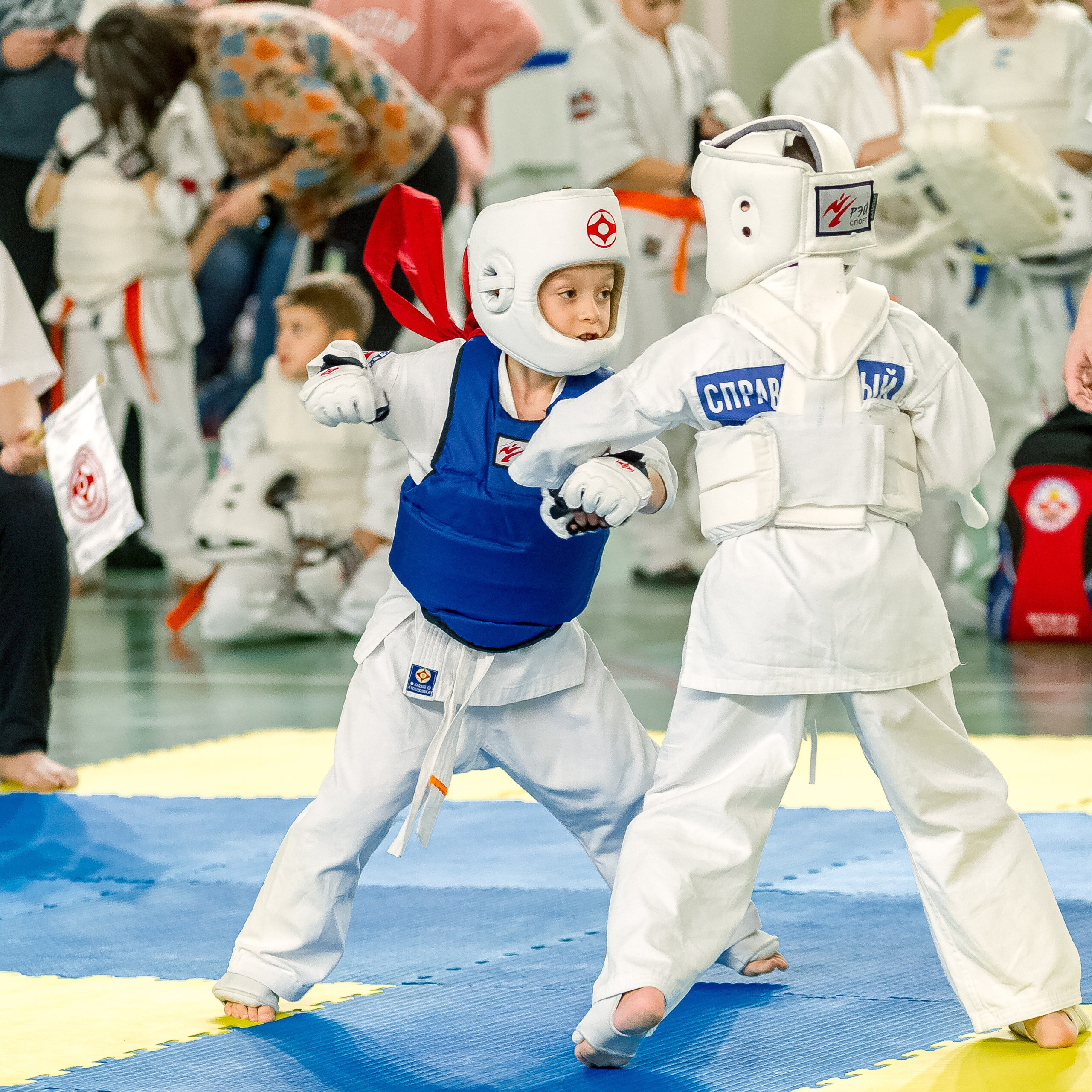 Отзывы. Репортажная съемка в Москве и области. Анималистика