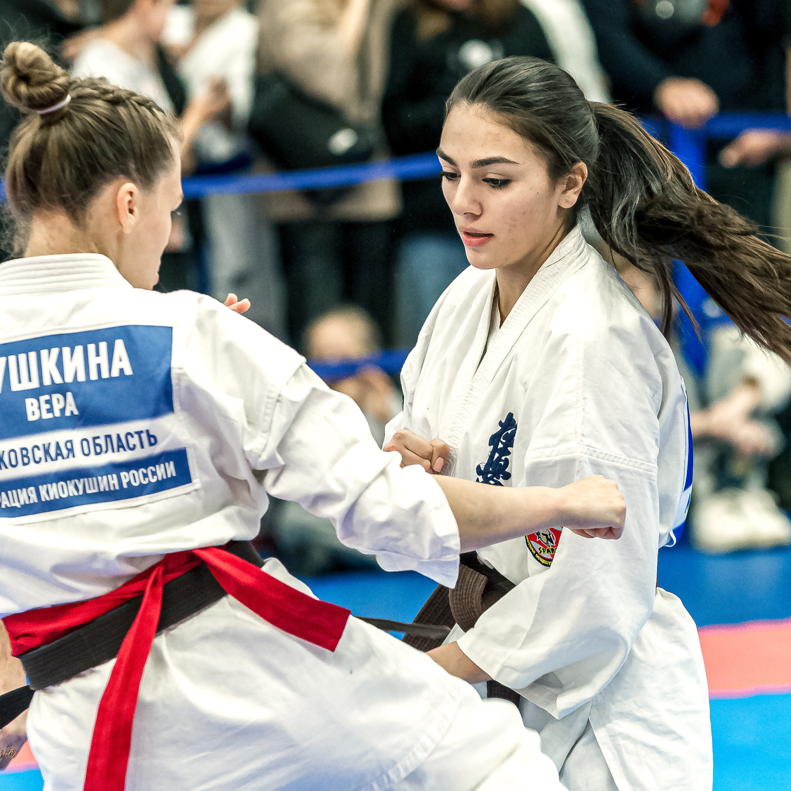 Отзывы. Репортажная съемка в Москве и области. Анималистика