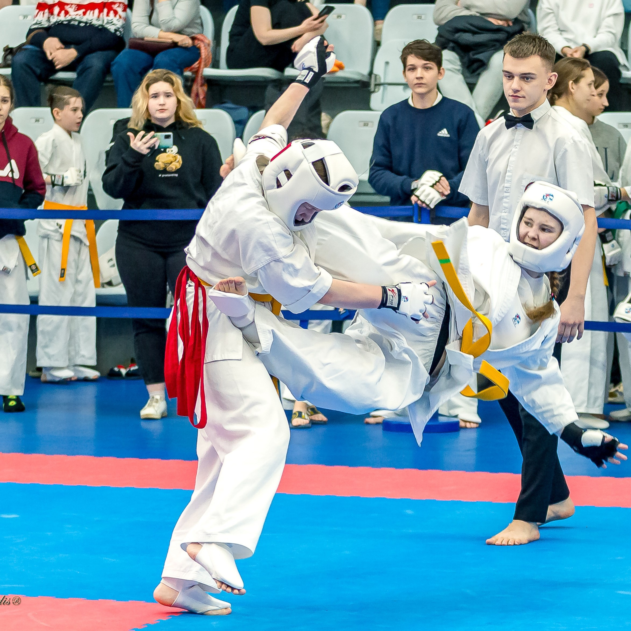 Отзывы. Репортажная съемка в Москве и области. Анималистика