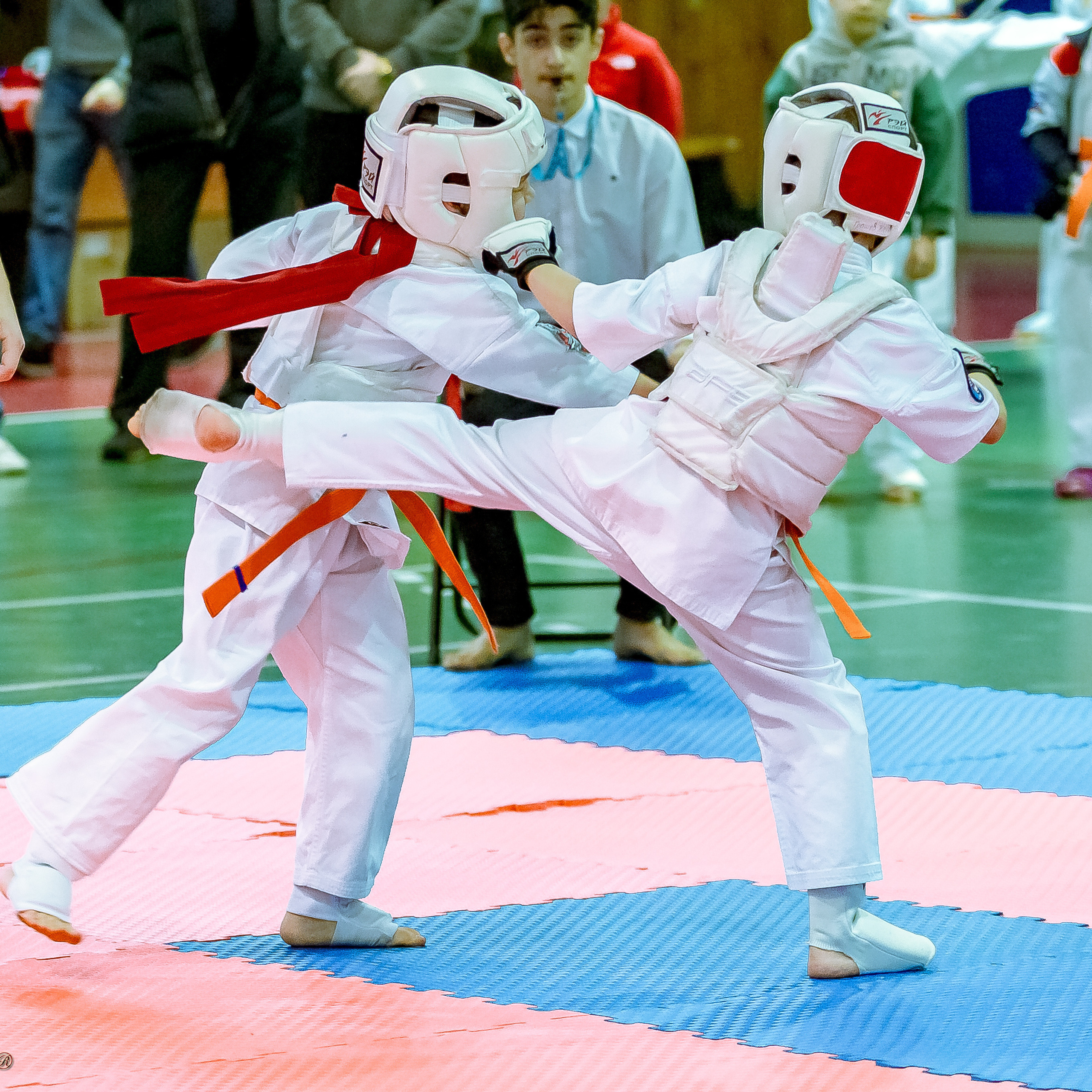 Отзывы. Репортажная съемка в Москве и области. Анималистика