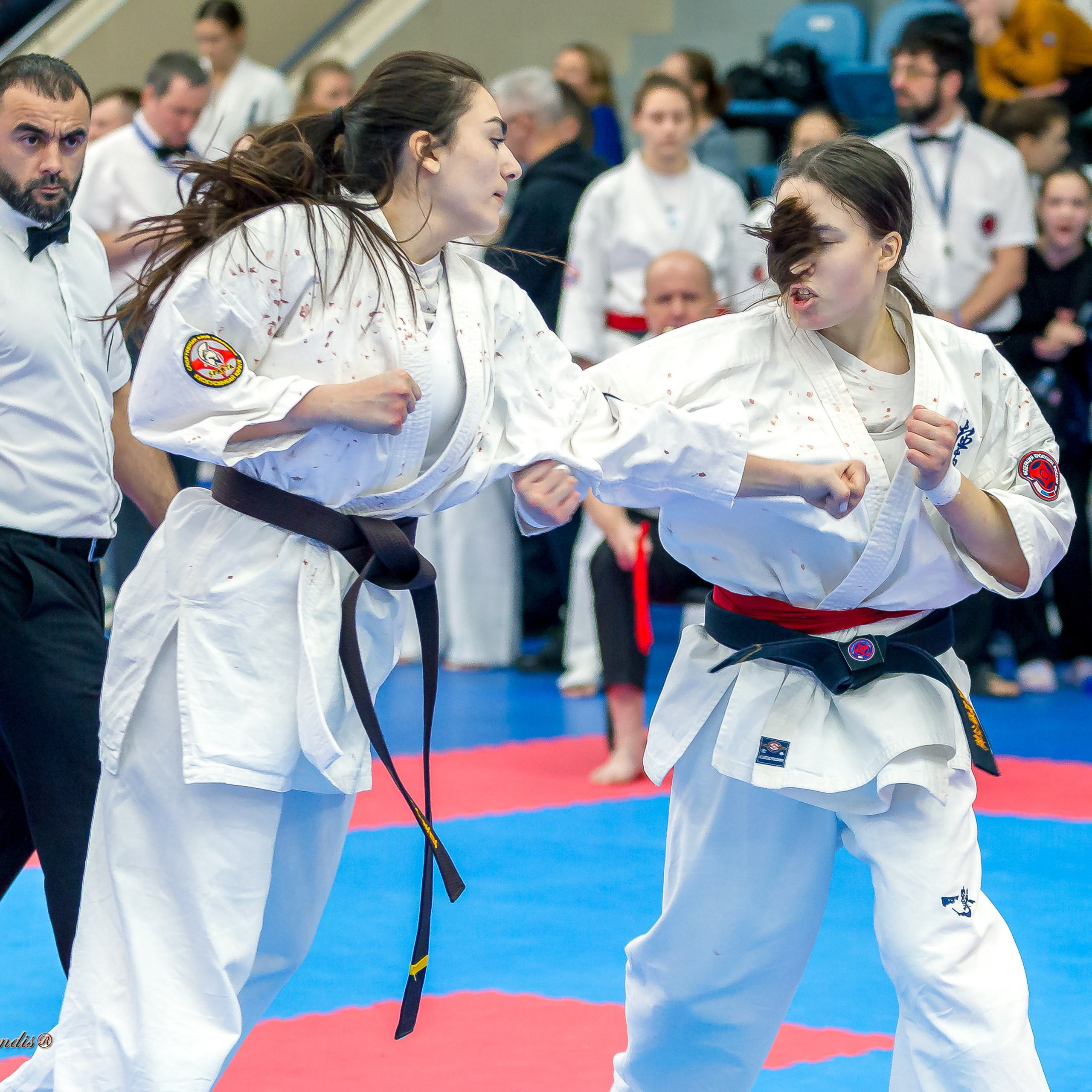 Отзывы. Репортажная съемка в Москве и области. Анималистика