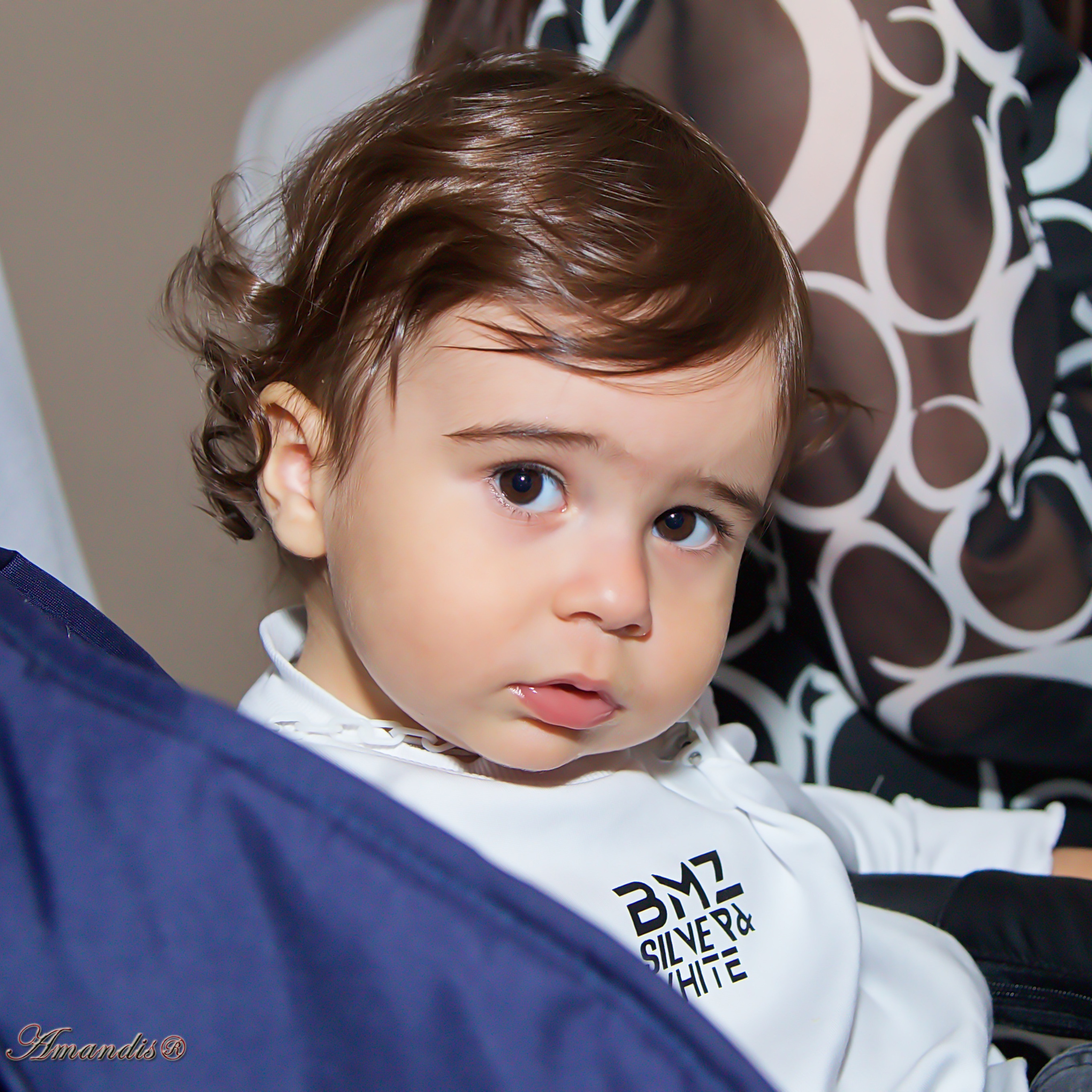 Отзывы. Репортажная съемка в Москве и области. Анималистика