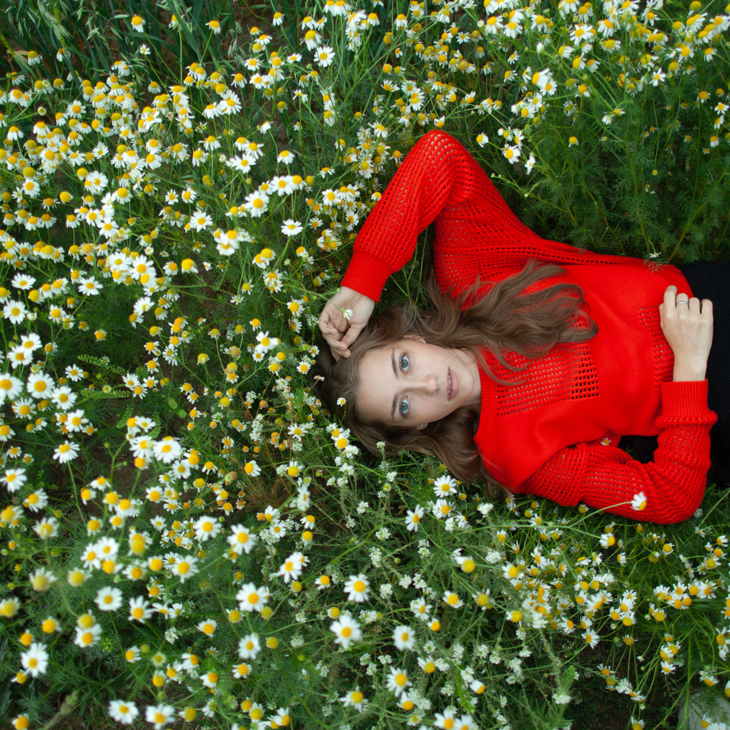 Пресет Jay Lay  — Natural Tones. Обучающий блог фотографа Jay Lay | Фотограф Казань