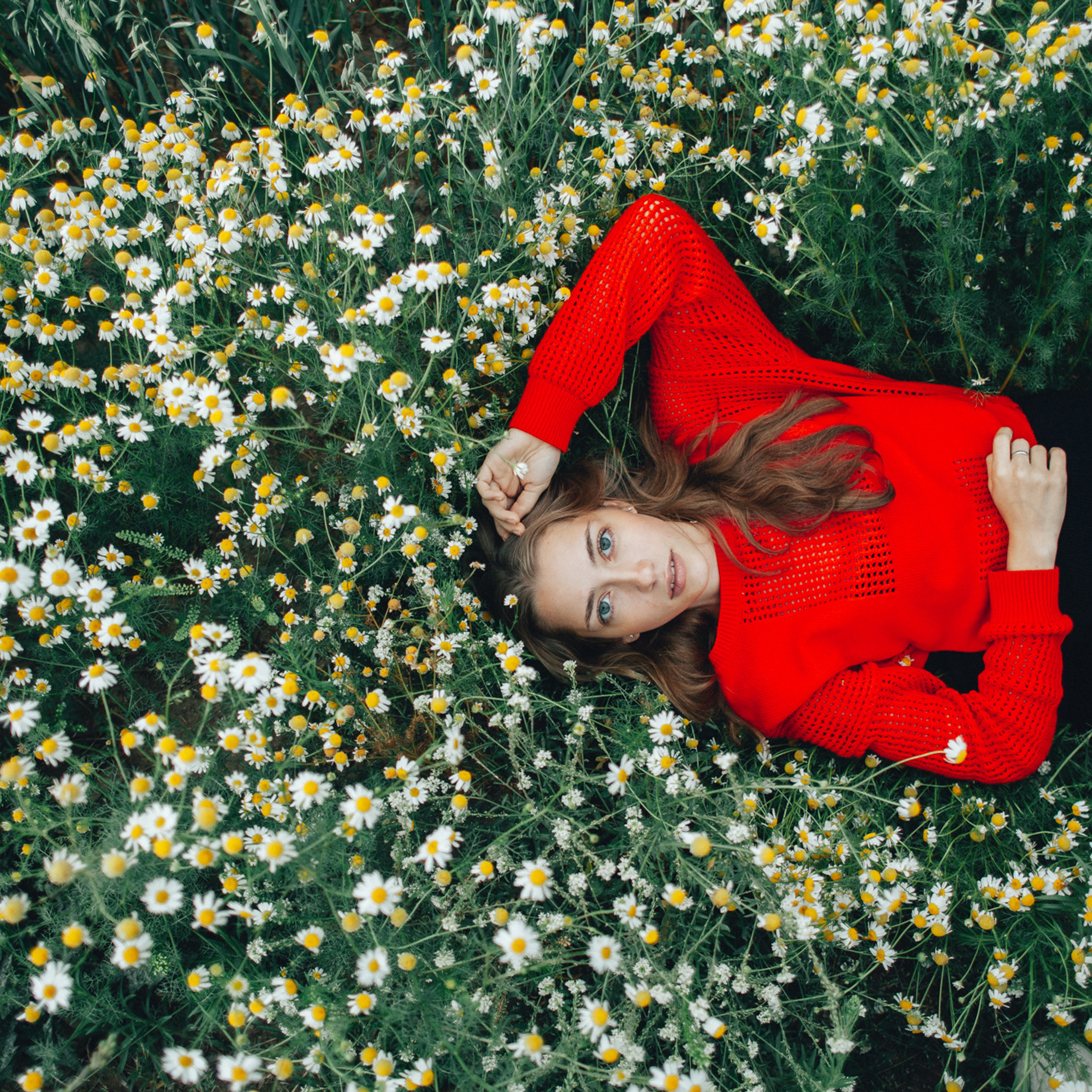 Пресет Jay Lay  — Natural Tones. Обучающий блог фотографа Jay Lay | Фотограф Казань