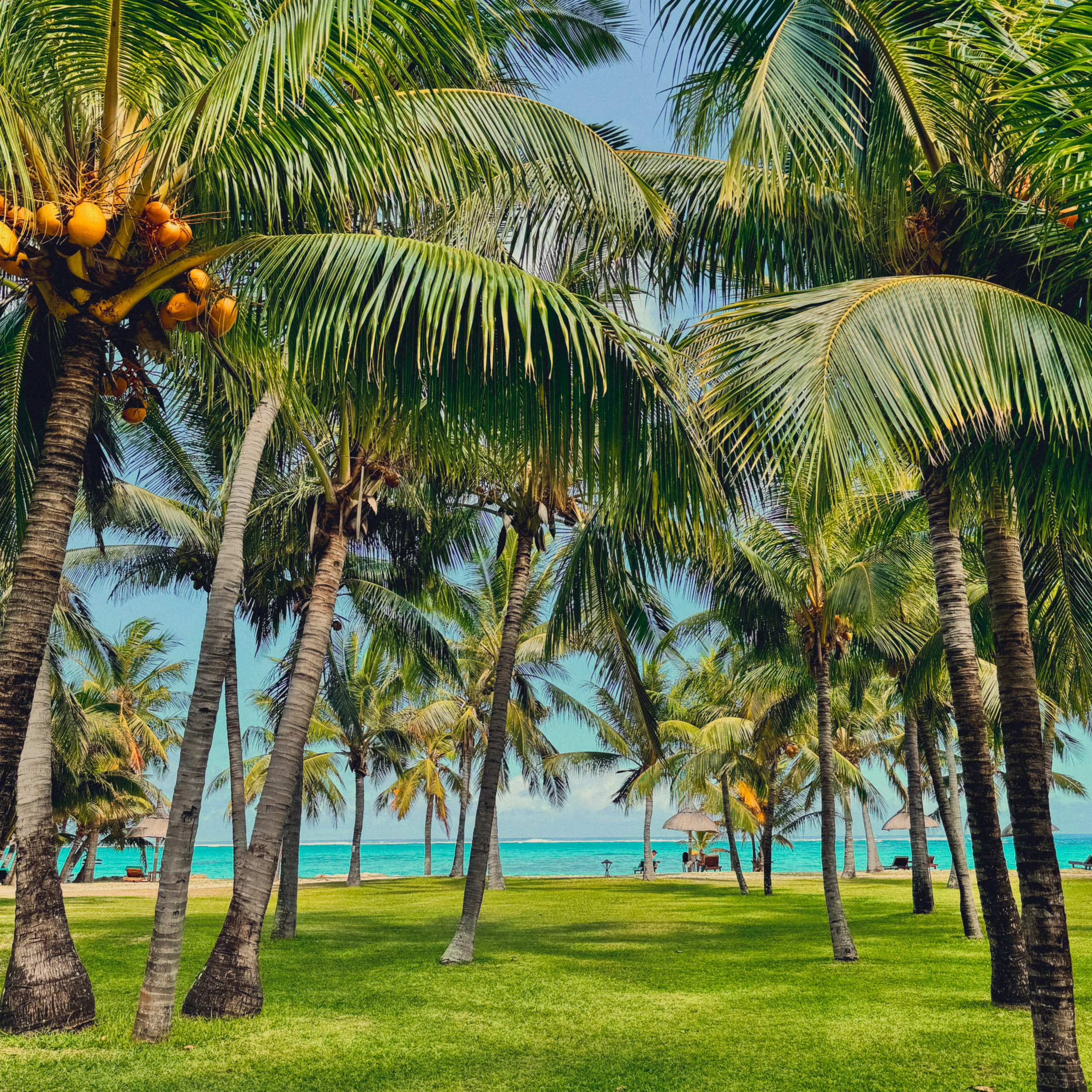 Бронирование отелей и туров на Маврикий